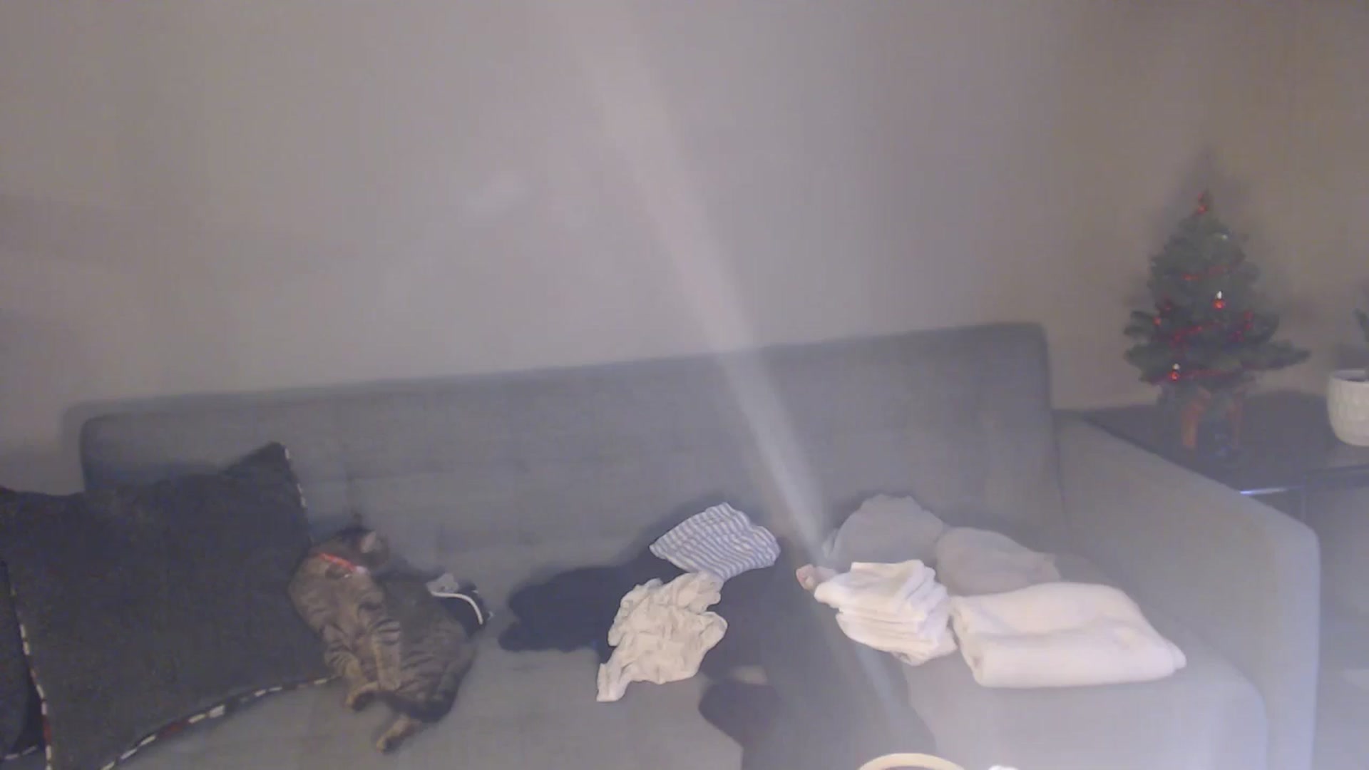 Gallery image thumbnail from antidreamgirl's myfreecams stream on, 12/18/2024, 21:31 image 15 of 20