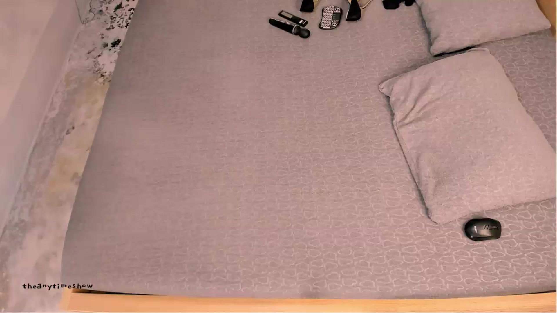 Gallery image thumbnail from anytimeshow's myfreecams stream on, 06/08/2026, 10:04 image 4 of 20
