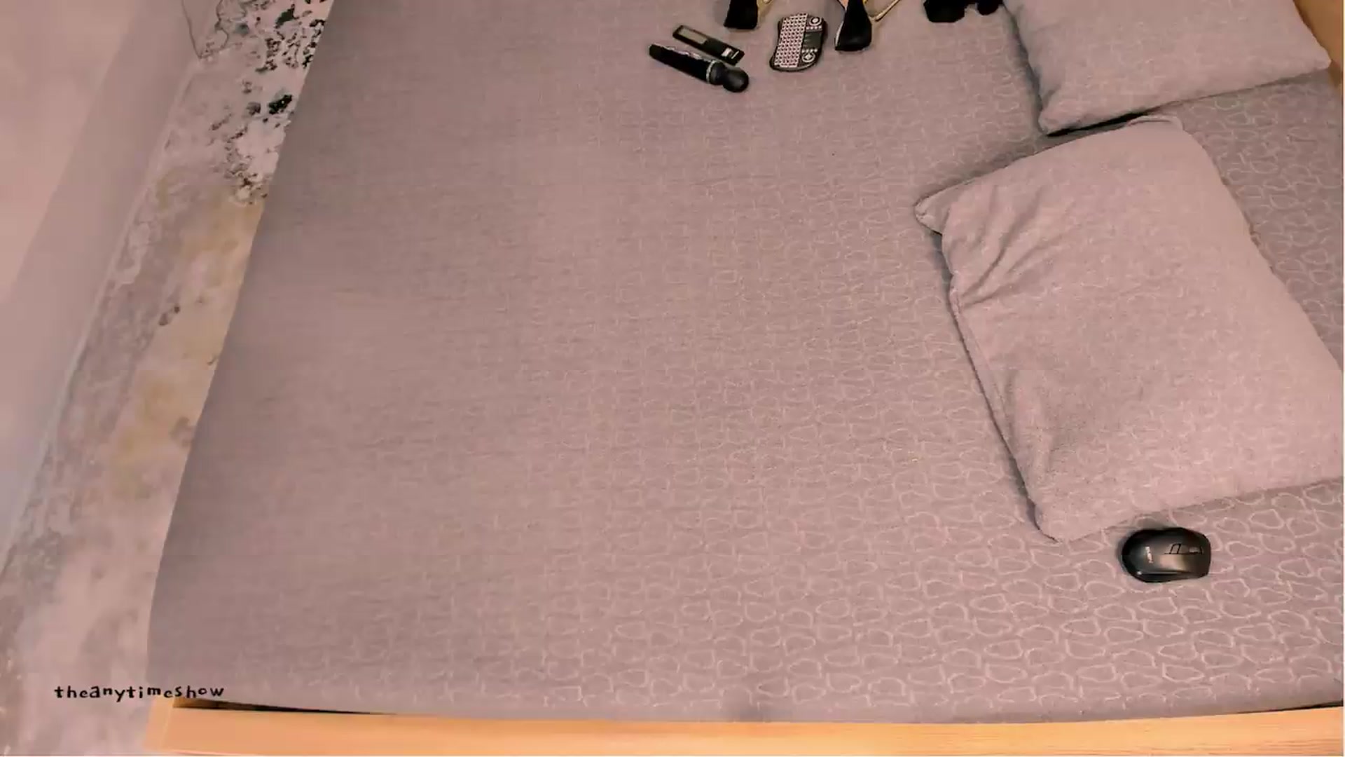 Gallery image thumbnail from anytimeshow's myfreecams stream on, 06/08/2026, 10:04 image 6 of 20