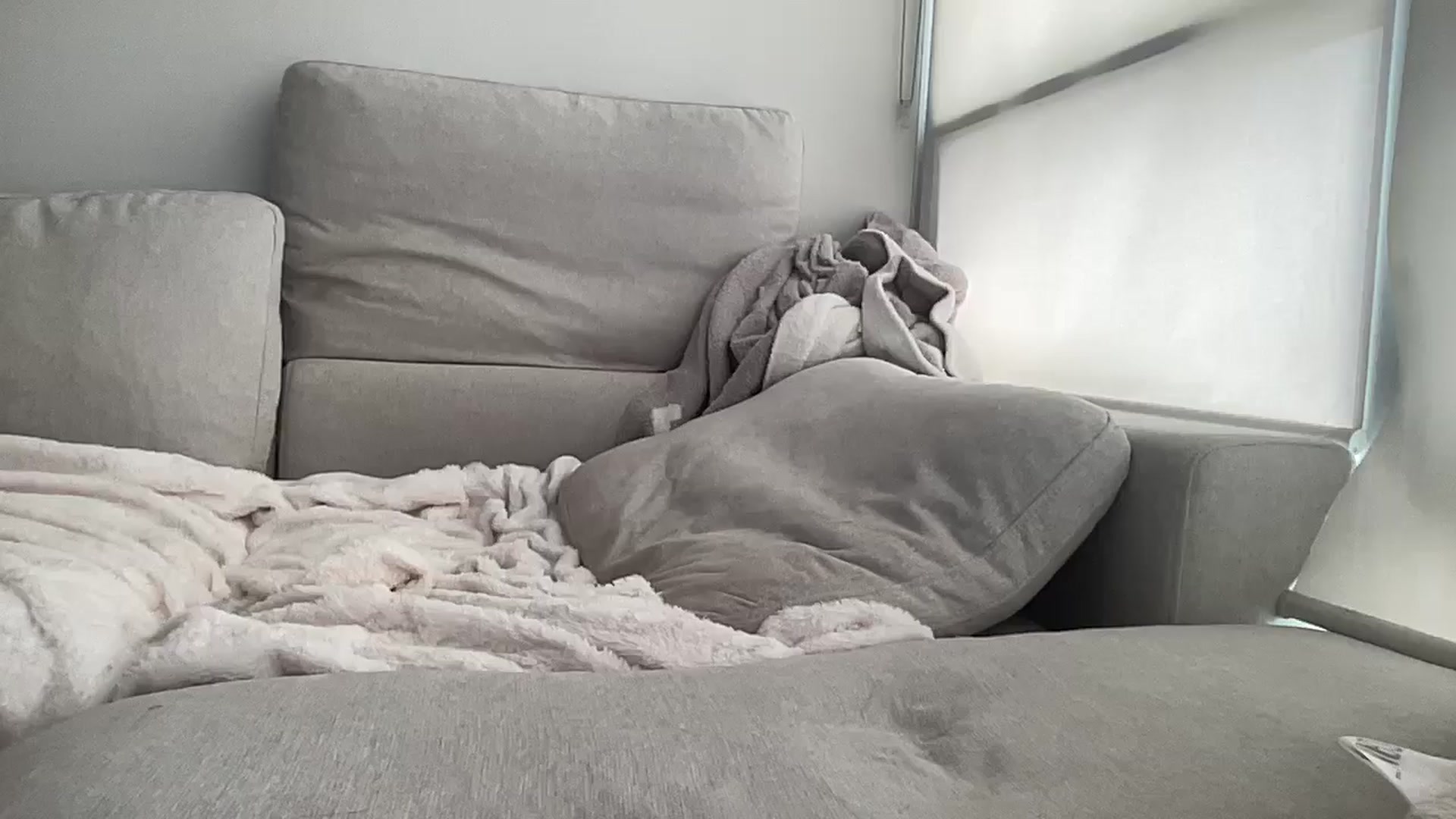 Gallery image thumbnail from arielxxx's myfreecams stream on, 02/16/2025, 18:50 image 16 of 20