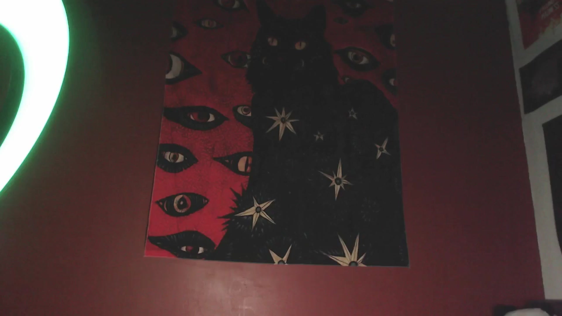 Gallery image thumbnail from aroom's myfreecams stream on, 06/03/2025, 05:05 image 19 of 20