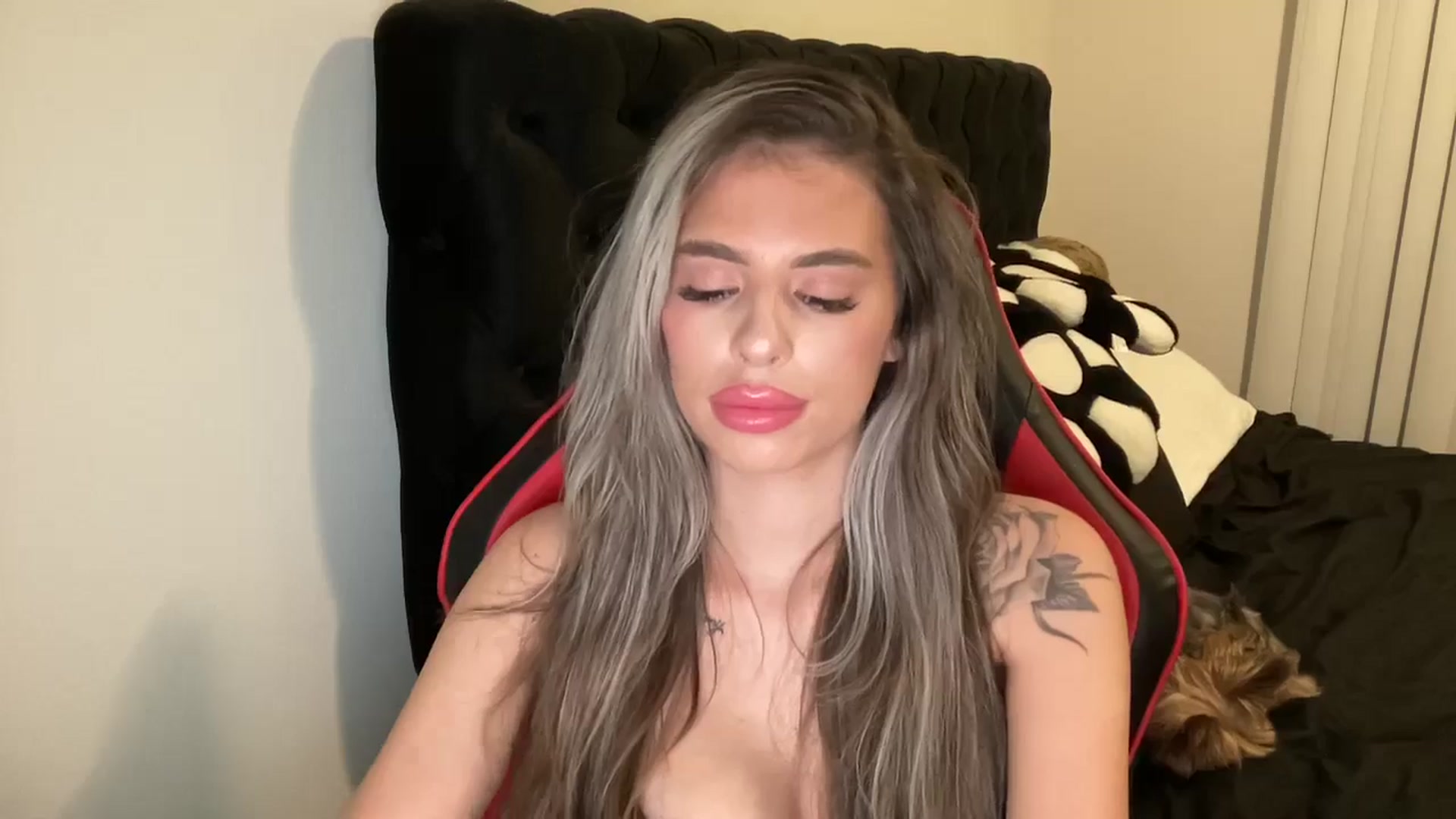 Gallery image thumbnail from aryaaxo's myfreecams stream on, 12/03/2024, 09:08 image 19 of 20
