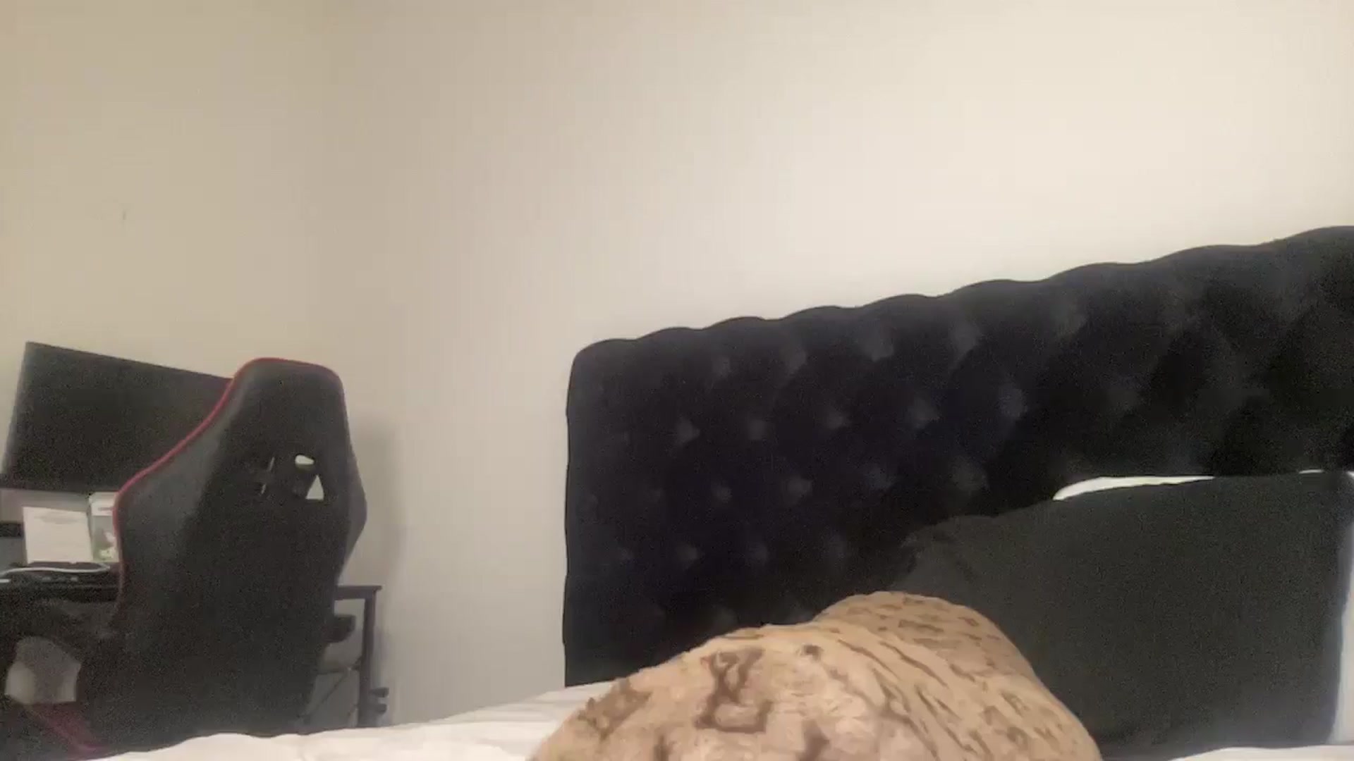 Gallery image thumbnail from aryaaxo's myfreecams stream on, 01/07/2025, 11:35 image 10 of 20
