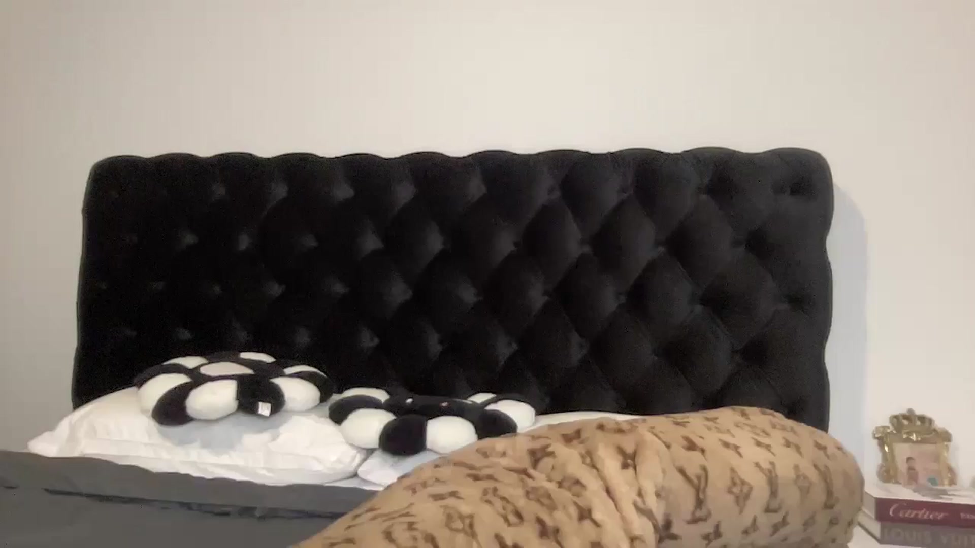 Gallery image thumbnail from aryaaxo's myfreecams stream on, 01/24/2025, 10:02 image 1 of 20