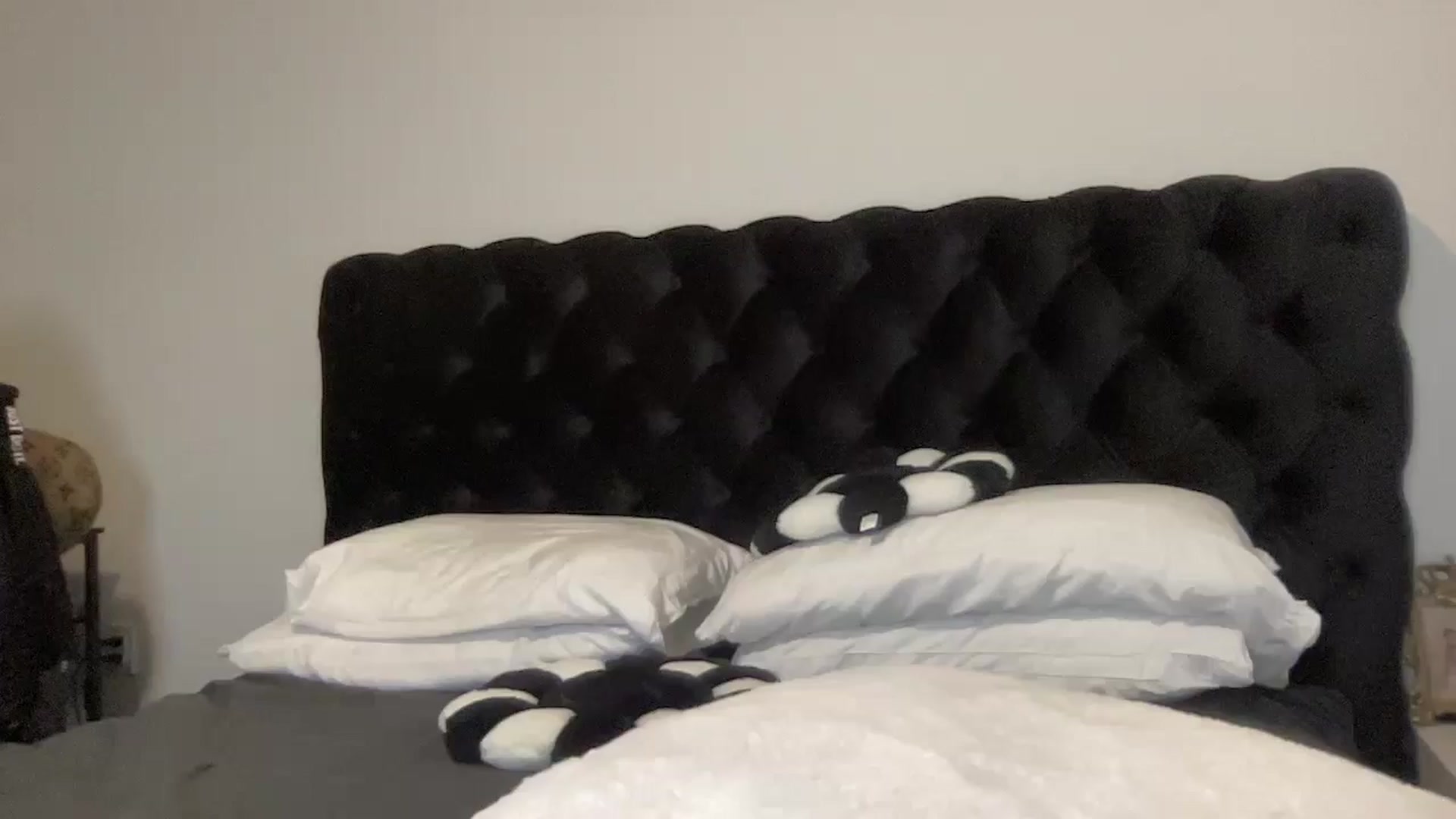 Gallery image thumbnail from aryaaxo's myfreecams stream on, 01/28/2025, 08:17 image 17 of 20