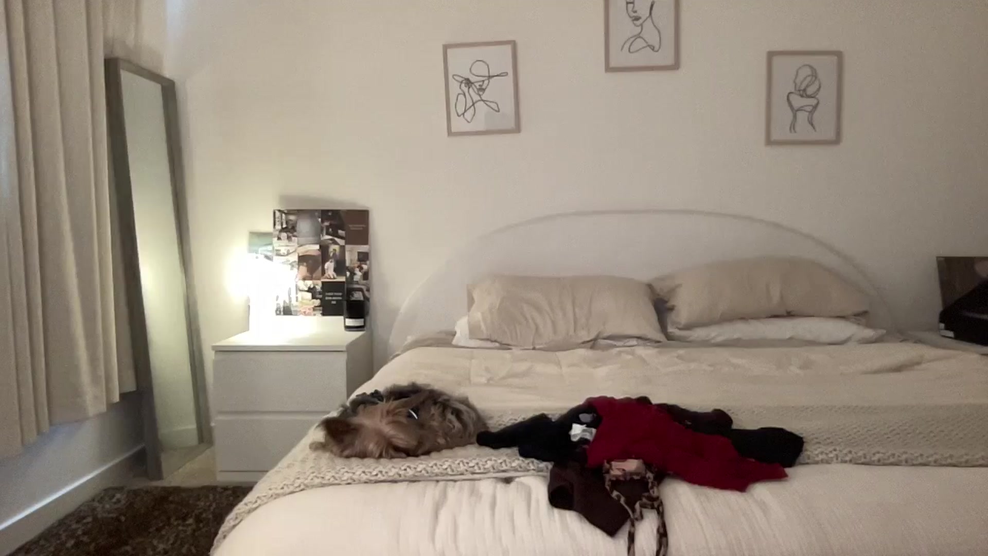 Gallery image thumbnail from aryaaxo's myfreecams stream on, 09/15/2025, 18:43 image 18 of 20