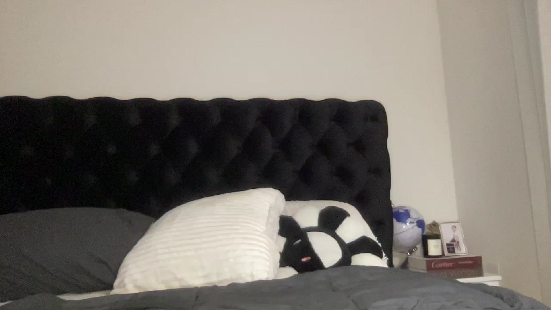 Gallery image thumbnail from aryaaxo's myfreecams stream on, 02/11/2026, 08:07 image 14 of 20