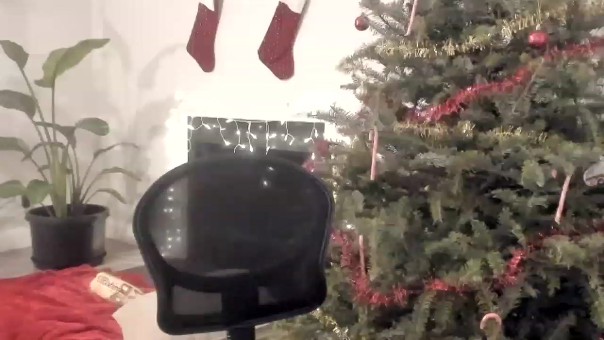 Gallery image thumbnail from asiadolll's myfreecams stream on, 12/26/2022, 05:24 image 14 of 20