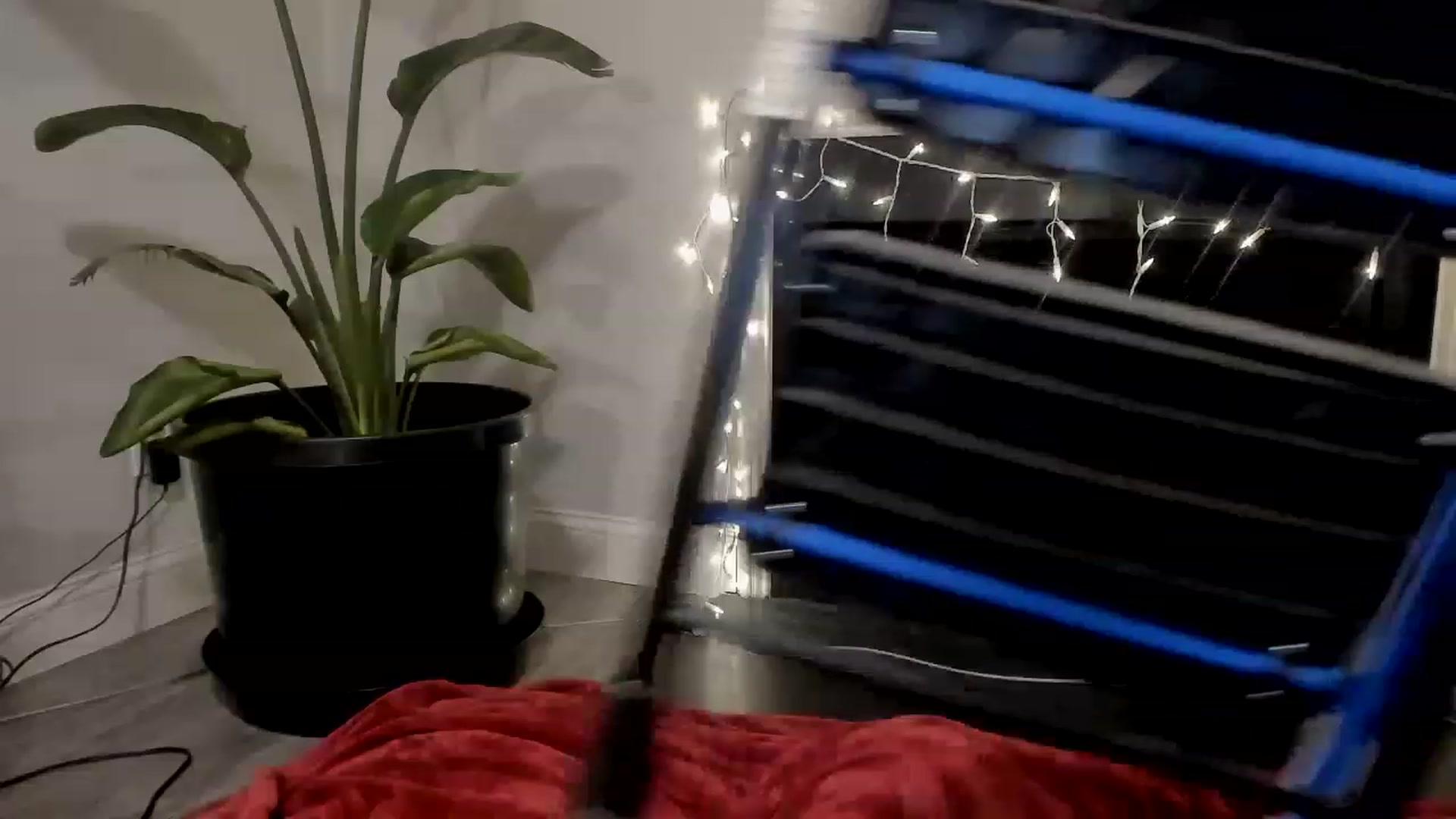 Gallery image thumbnail from asiadolll's myfreecams stream on, 02/21/2023, 01:23 image 14 of 20