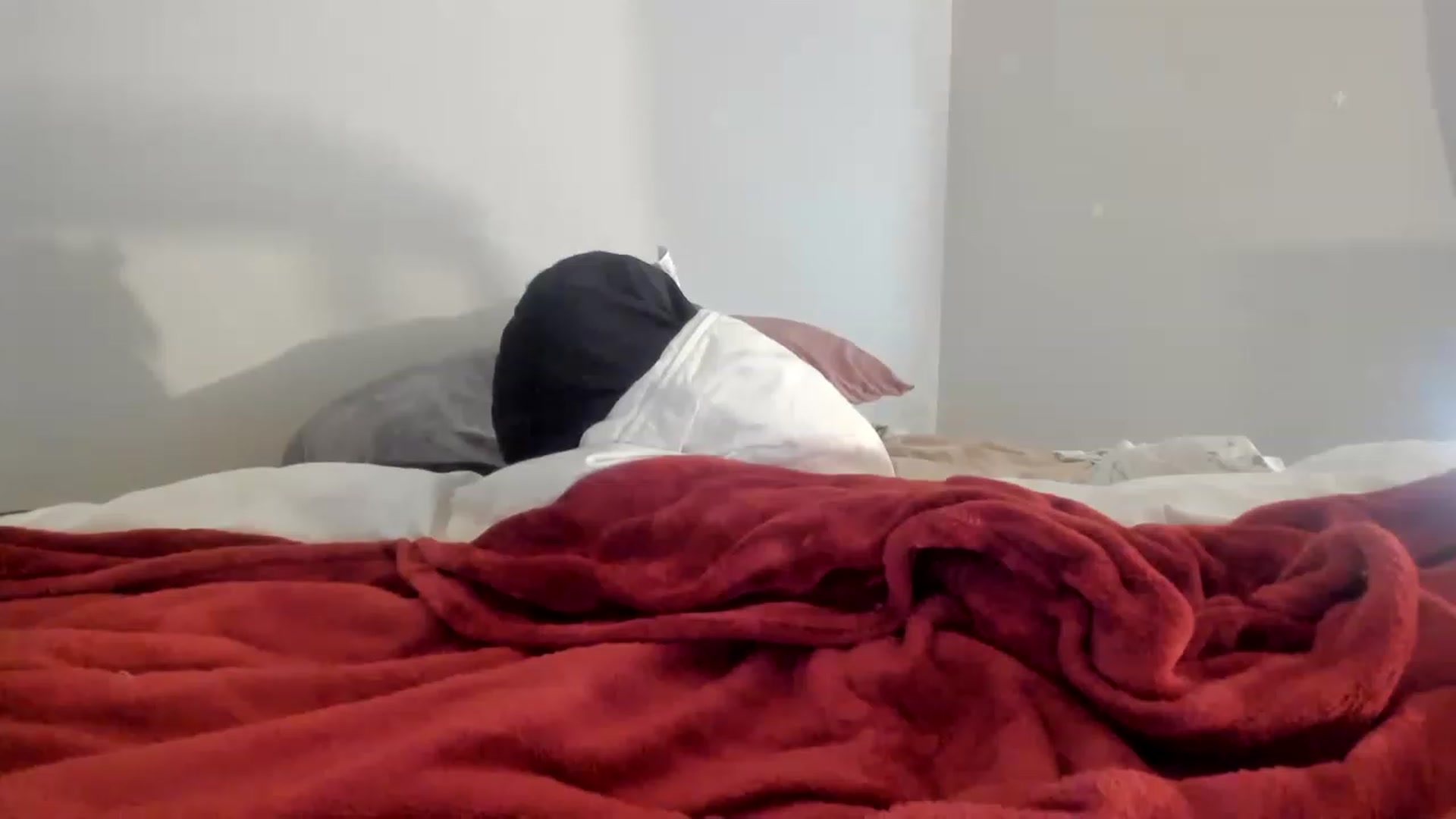 Gallery image thumbnail from asiadolll's myfreecams stream on, 03/20/2023, 22:47 image 10 of 20