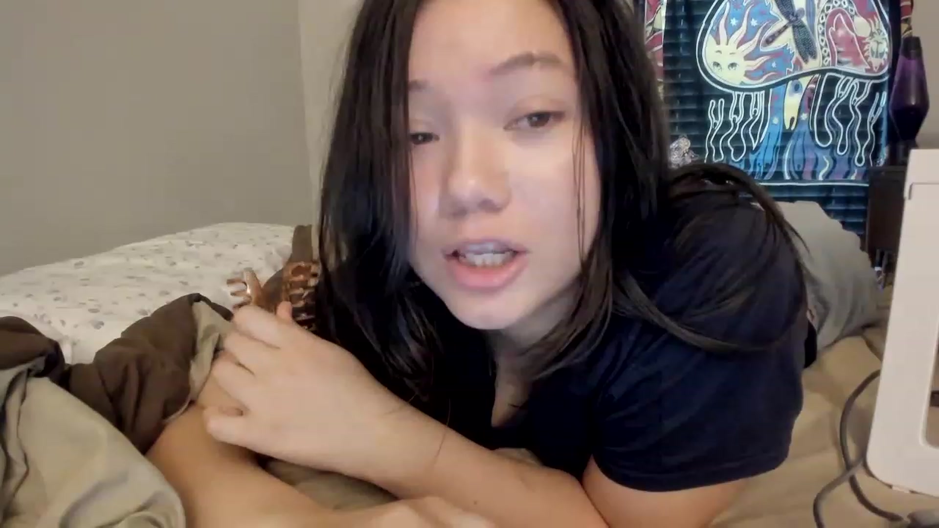Gallery image thumbnail from asiadolll's myfreecams stream on, 06/27/2023, 19:52 image 17 of 20