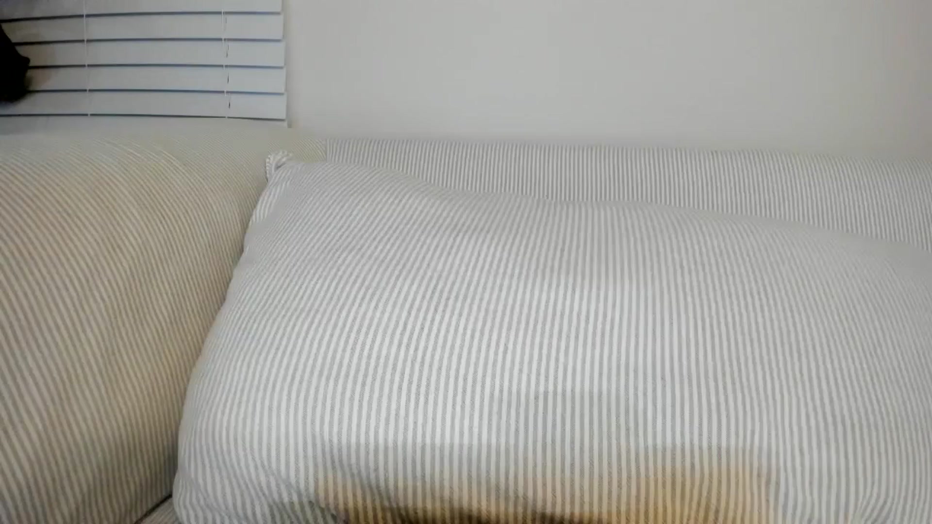 Gallery image thumbnail from asiadolll's myfreecams stream on, 10/28/2023, 09:35 image 19 of 20