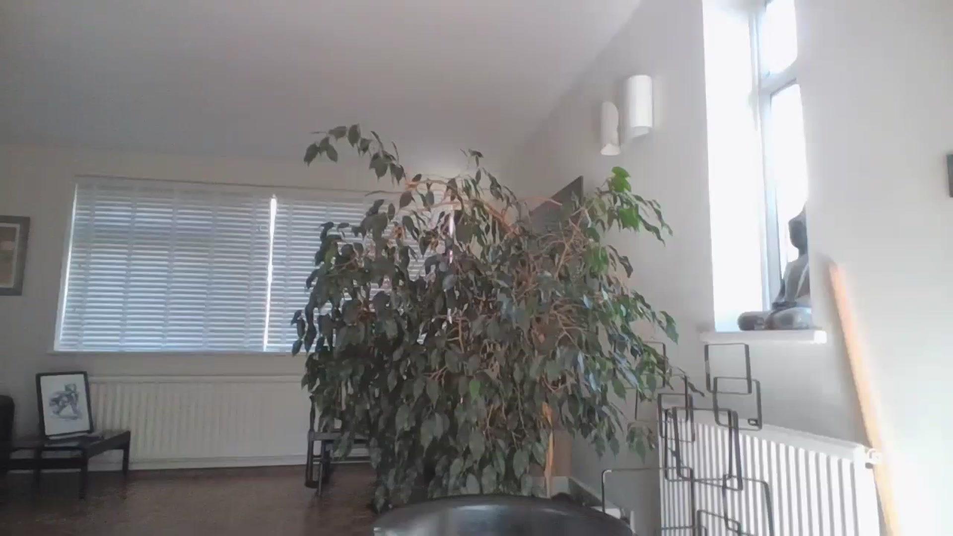 Gallery image thumbnail from asianfemale69's myfreecams stream on, 10/14/2023, 11:32 image 19 of 20