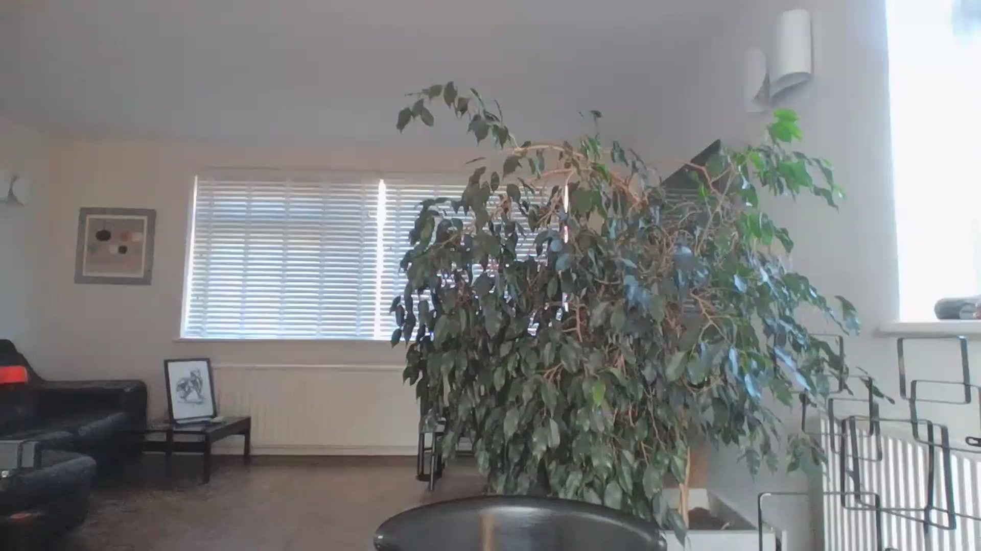 Gallery image thumbnail from asianfemale69's myfreecams stream on, 10/14/2023, 13:31 image 10 of 20