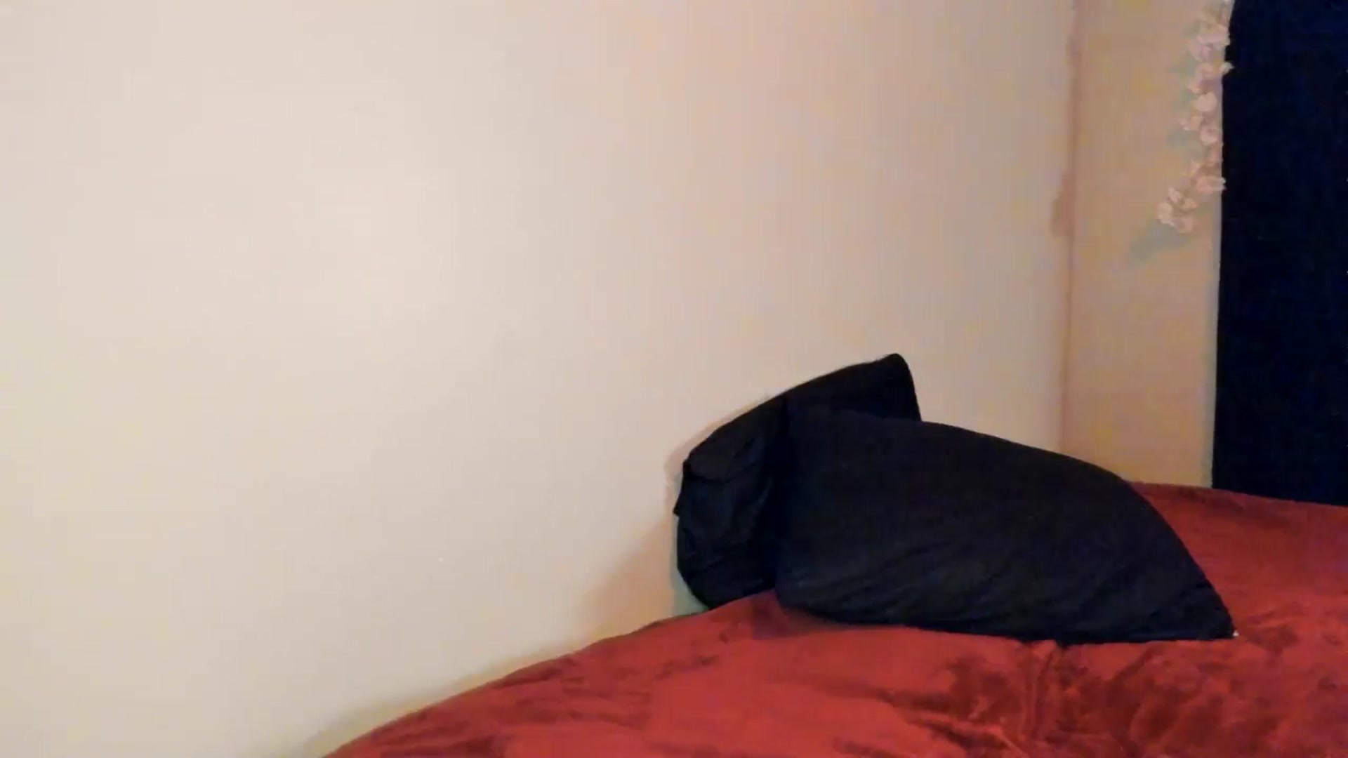 Gallery image thumbnail from ava_x_green's myfreecams stream on, 05/27/2025, 06:39 image 17 of 20
