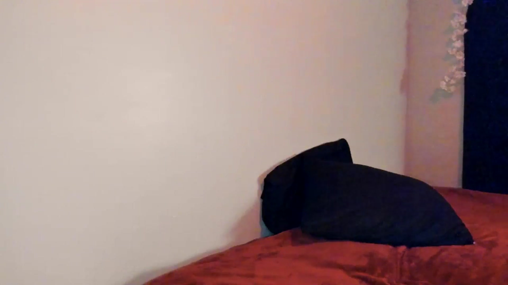 Gallery image thumbnail from ava_x_green's myfreecams stream on, 05/27/2025, 08:00 image 2 of 20