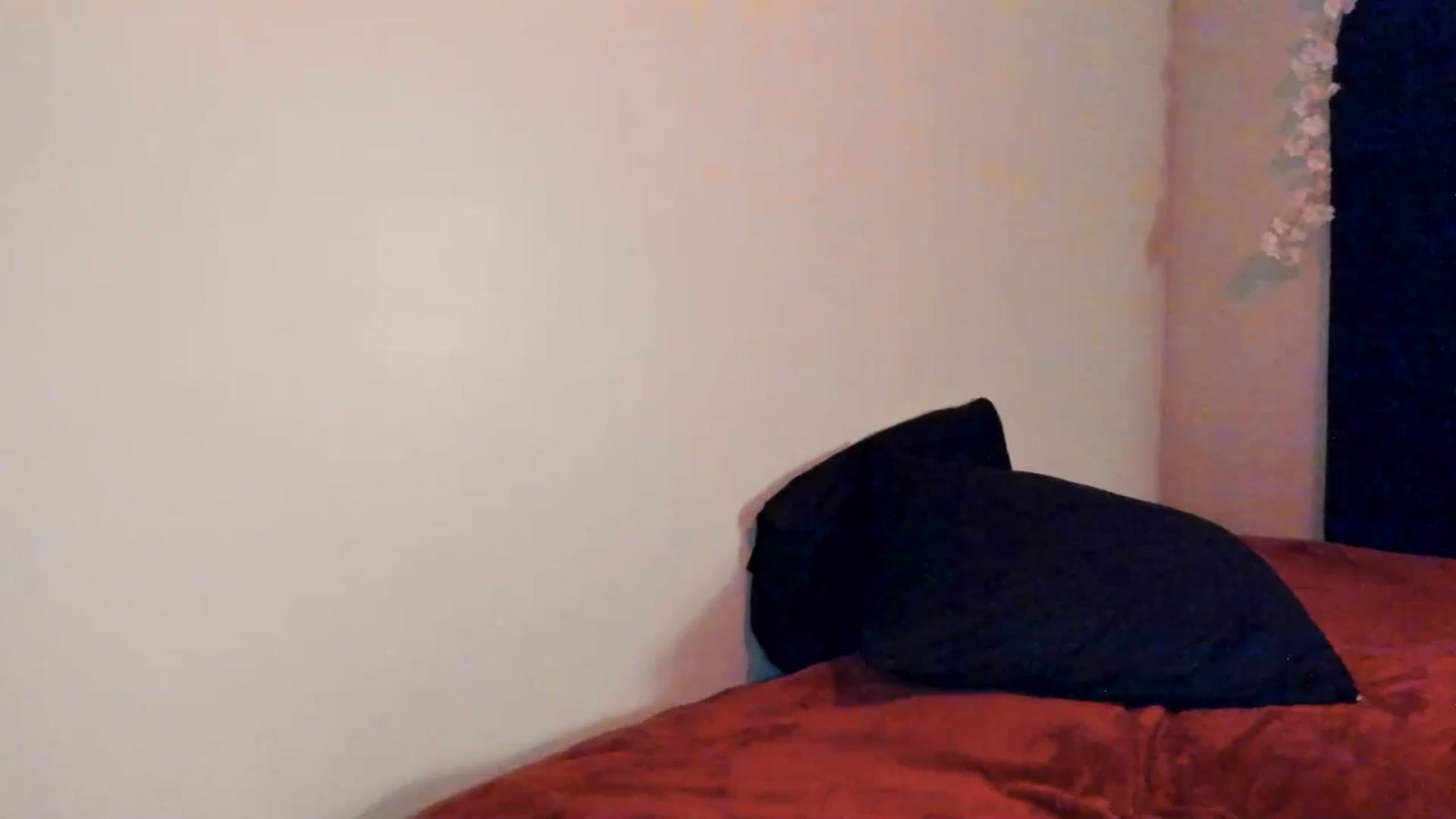 Gallery image thumbnail from ava_x_green's myfreecams stream on, 05/27/2025, 08:00 image 1 of 20