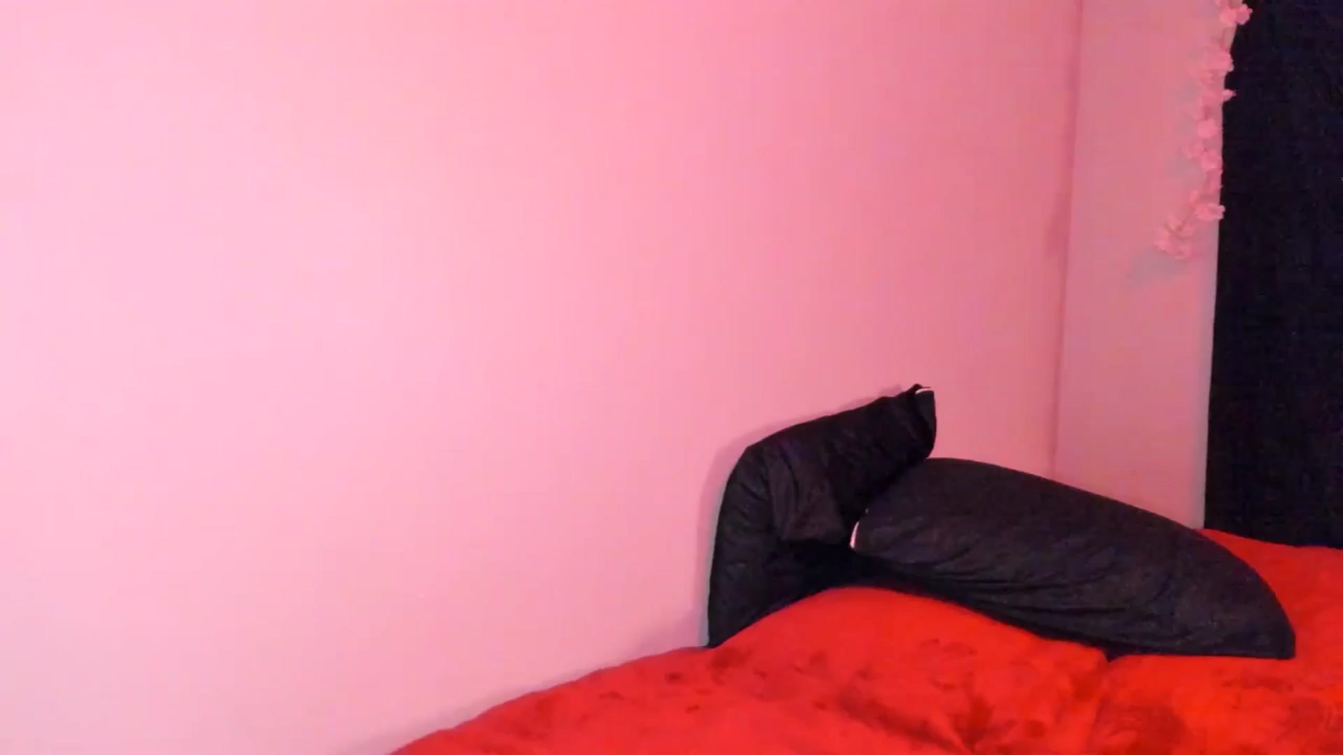 Gallery image thumbnail from ava_x_green's myfreecams stream on, 05/28/2025, 11:50 image 5 of 20