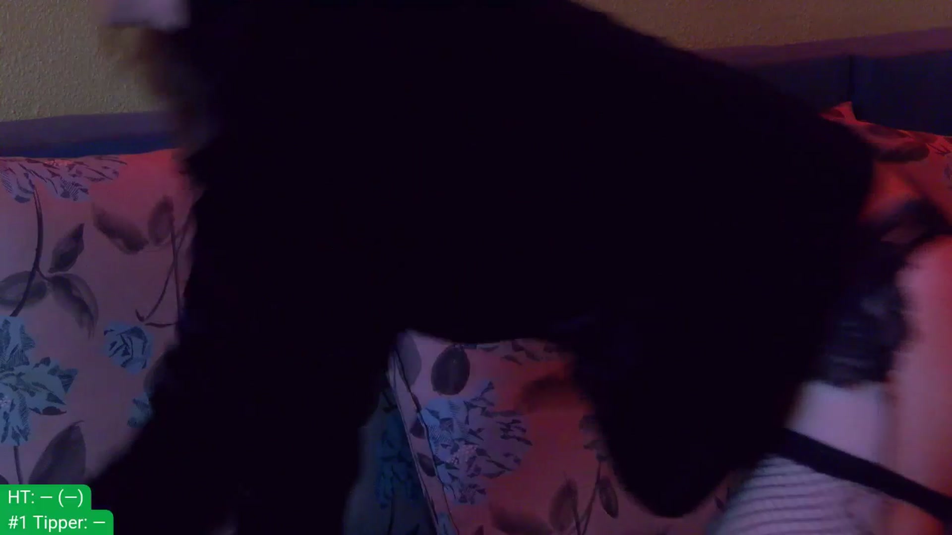 Gallery image thumbnail from aydenbelle's myfreecams stream on, 11/10/2025, 02:54 image 3 of 20