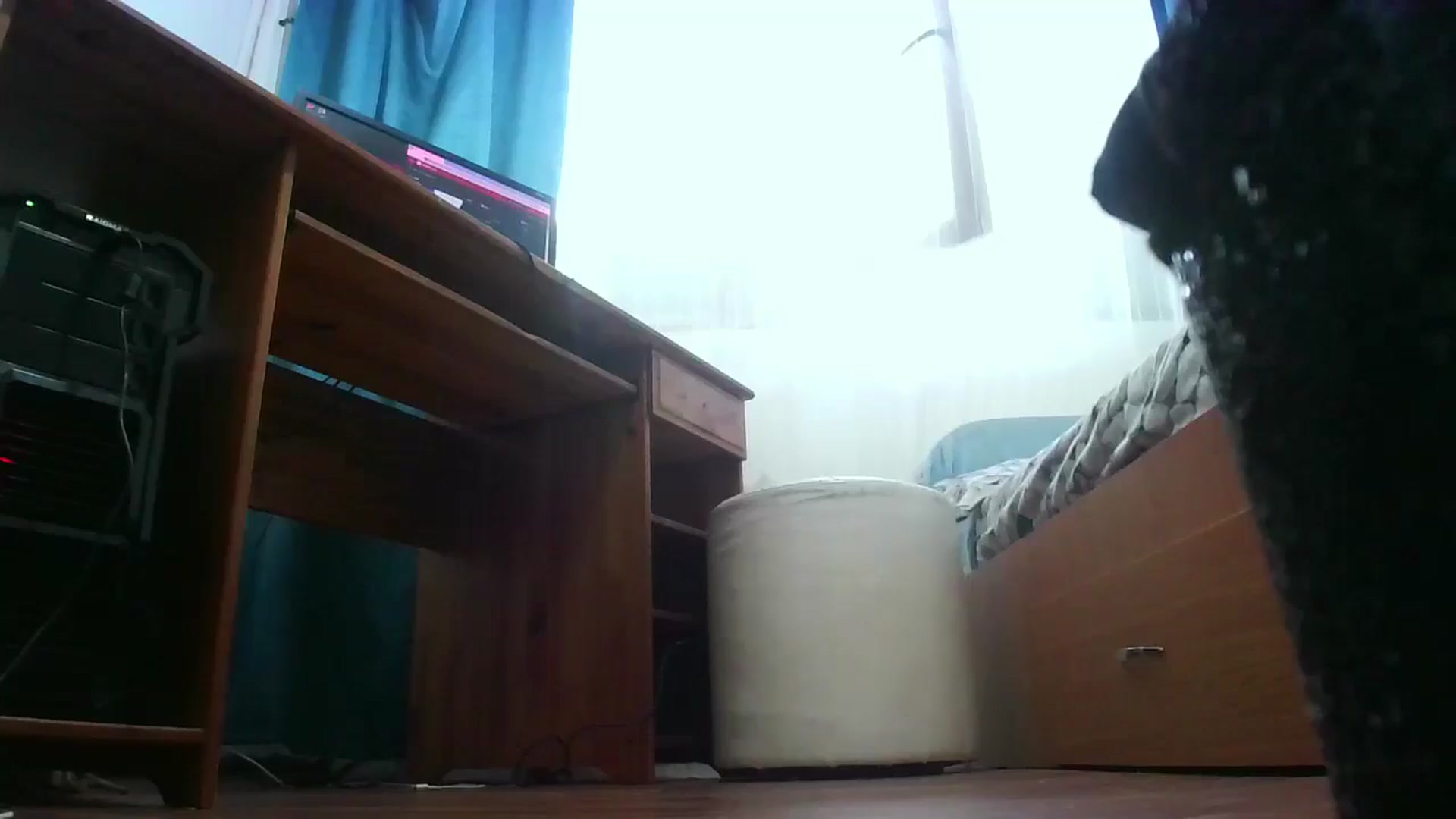 Gallery image thumbnail from ayshaadored's myfreecams stream on, 11/15/2024, 08:29 image 14 of 20
