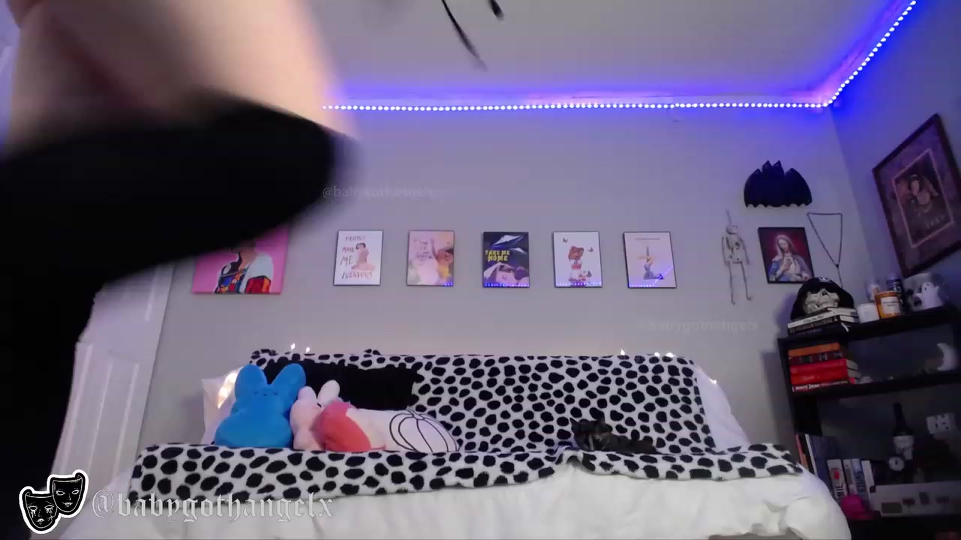 Gallery image thumbnail from babygothangel's myfreecams stream on, 12/23/2022, 16:48 image 18 of 20