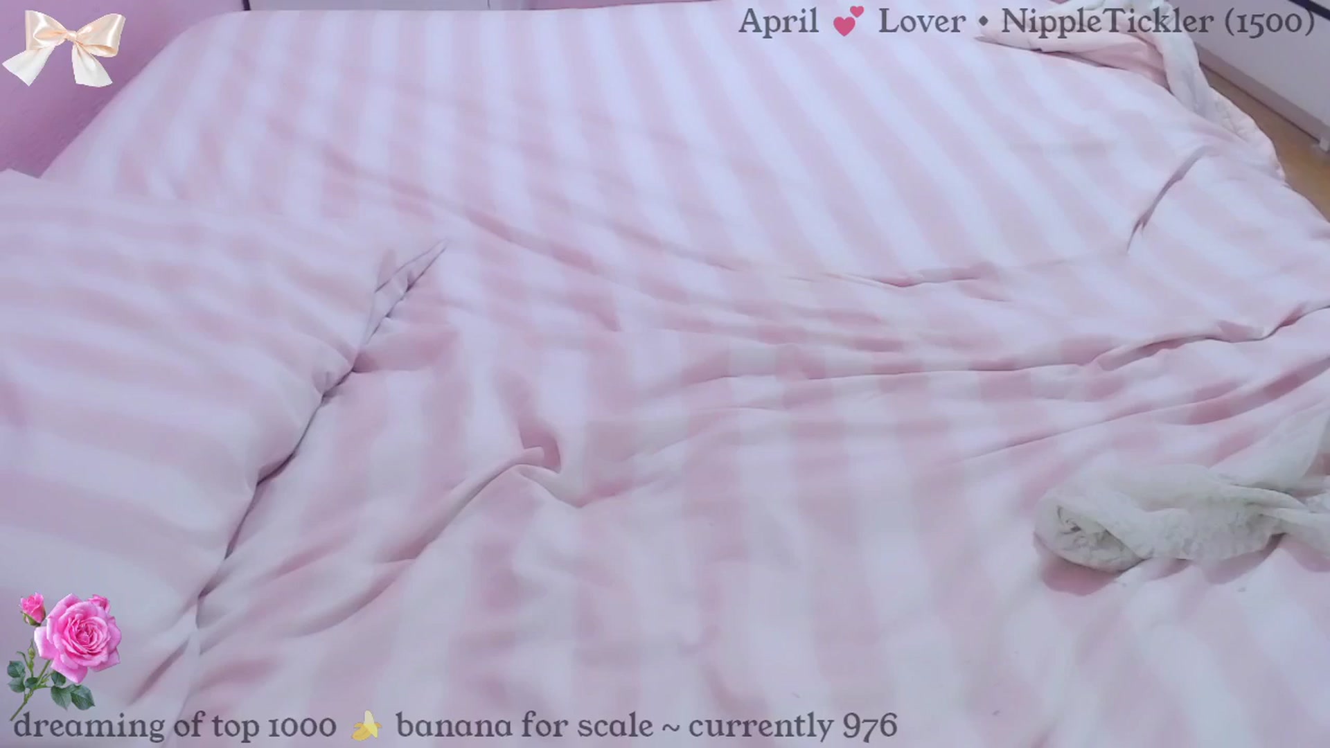 Gallery image thumbnail from babyimyours's myfreecams stream on, 04/26/2024, 23:25 image 5 of 20