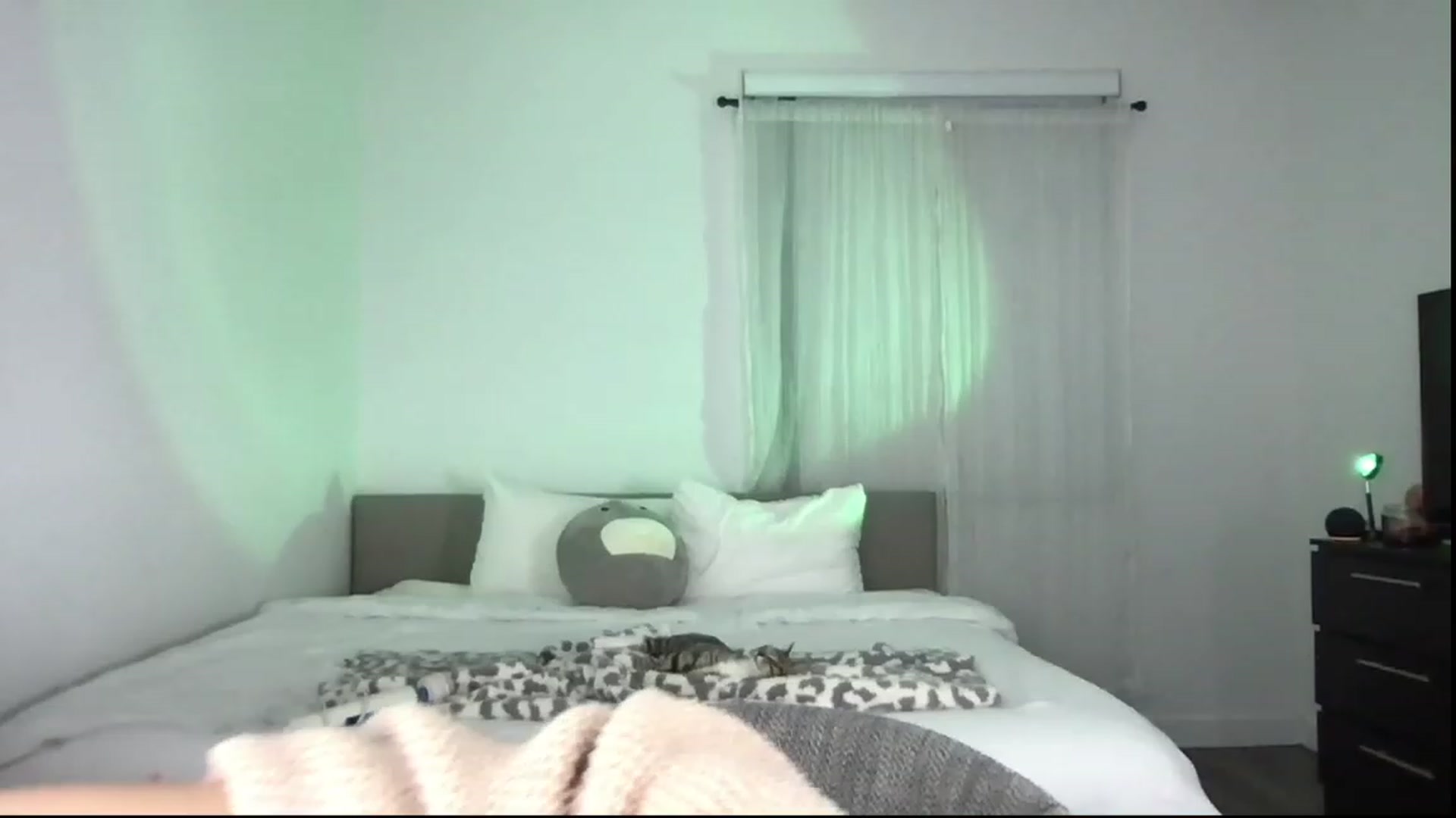 Gallery image thumbnail from babyxjulz's myfreecams stream on, 12/16/2022, 02:09 image 8 of 20