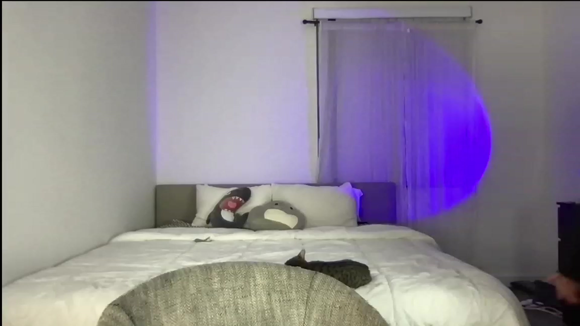 Gallery image thumbnail from babyxjulz's myfreecams stream on, 02/02/2023, 05:11 image 5 of 20