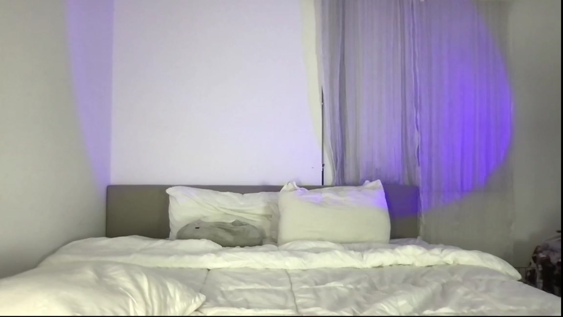Gallery image thumbnail from babyxjulz's myfreecams stream on, 02/18/2023, 05:33 image 19 of 20