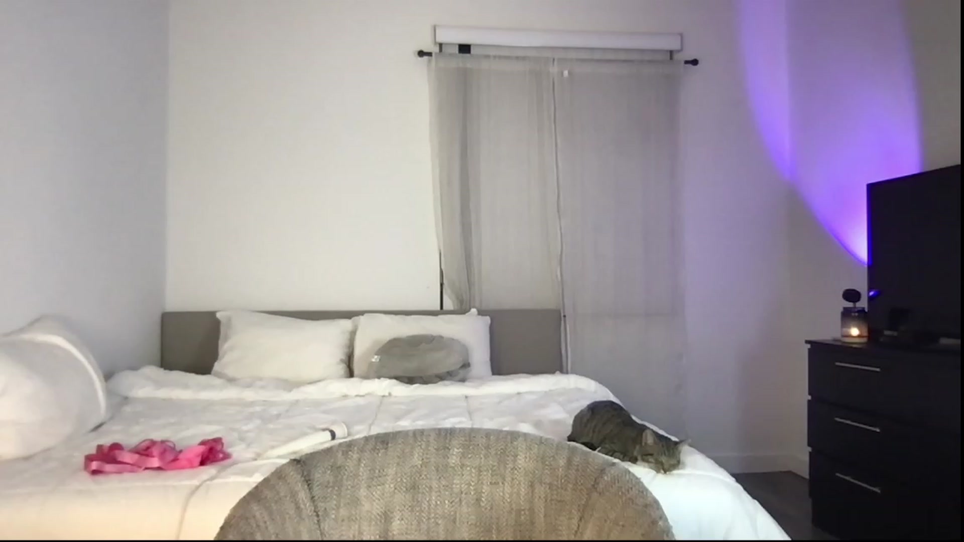 Gallery image thumbnail from babyxjulz's myfreecams stream on, 02/19/2023, 04:07 image 18 of 20