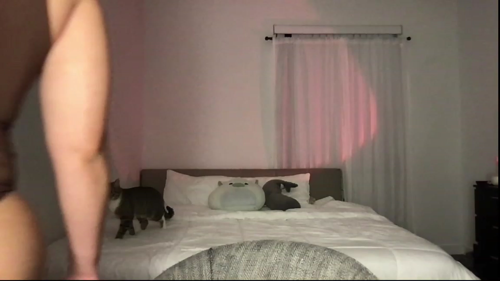 Gallery image thumbnail from babyxjulz's myfreecams stream on, 07/14/2023, 05:45 image 10 of 20