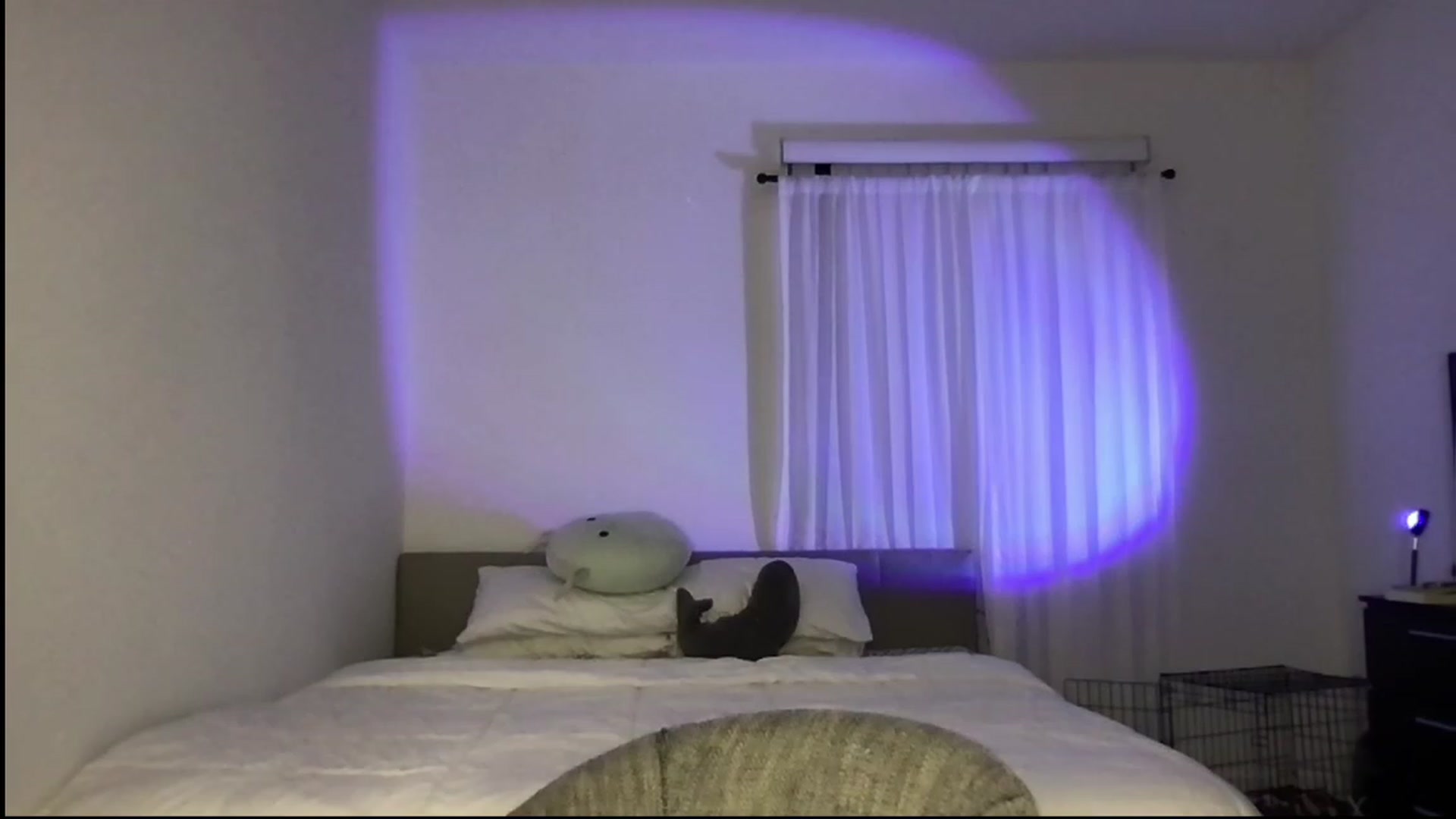Gallery image thumbnail from babyxjulz's myfreecams stream on, 08/03/2023, 05:33 image 5 of 20
