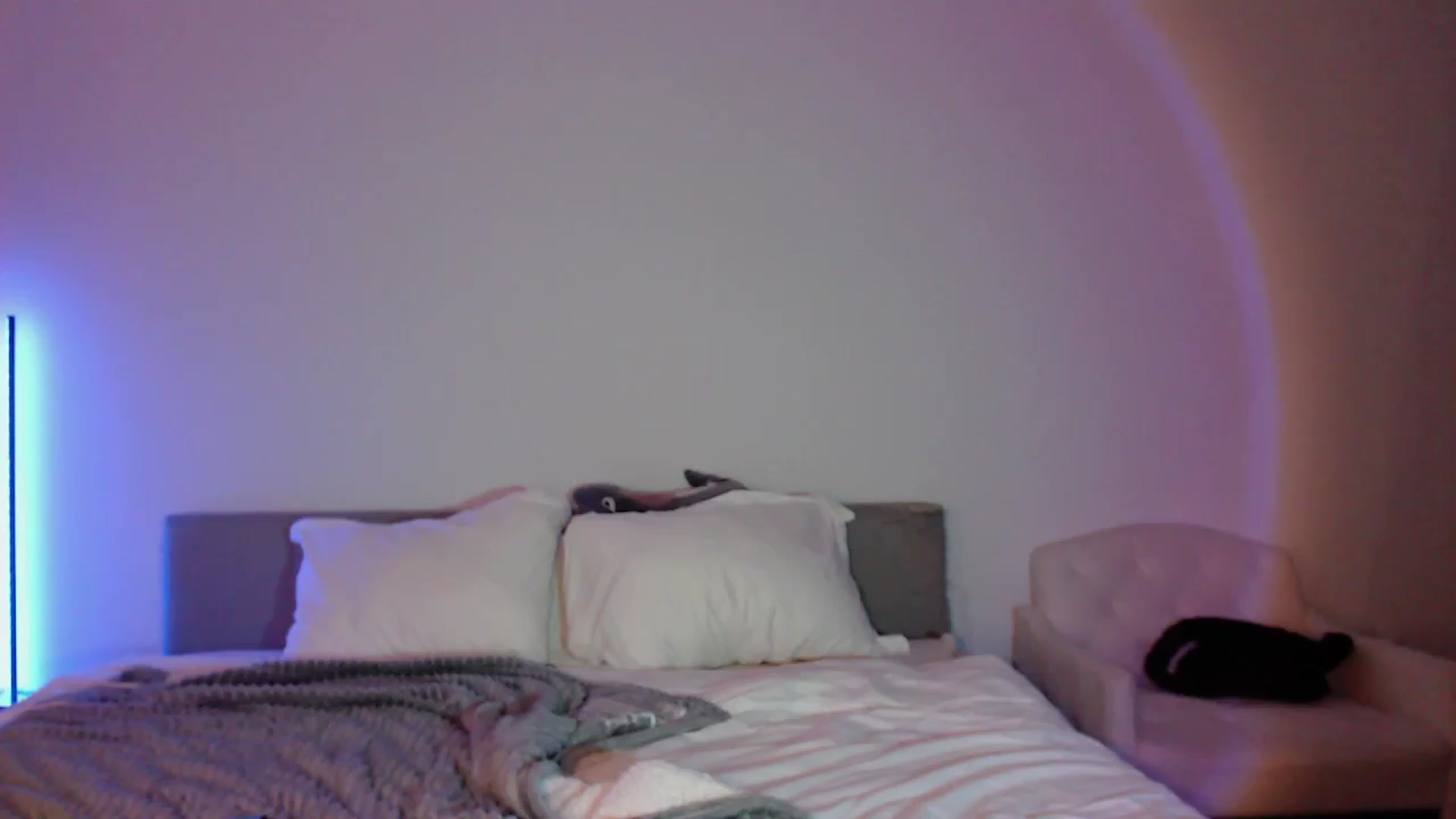 Gallery image thumbnail from babyxjulz's myfreecams stream on, 04/24/2024, 05:40 image 16 of 20