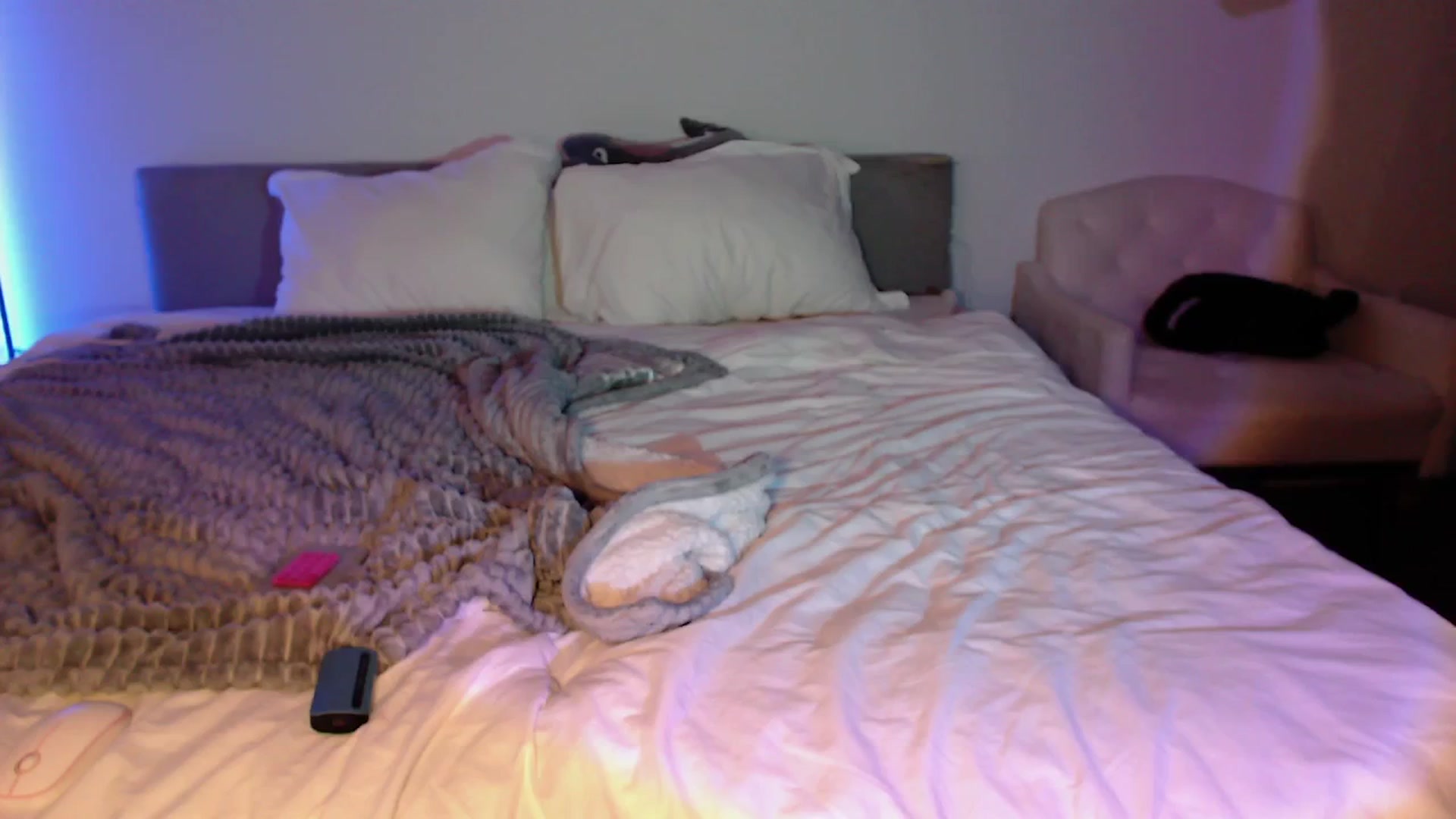Gallery image thumbnail from babyxjulz's myfreecams stream on, 04/24/2024, 05:40 image 9 of 20