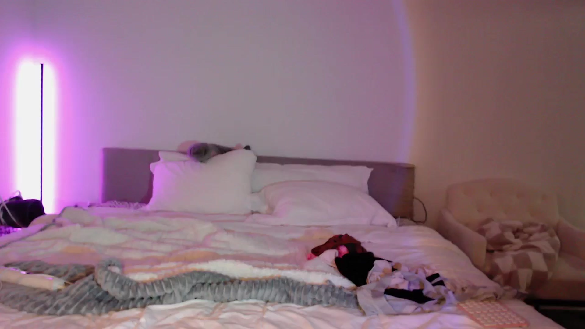 Gallery image thumbnail from babyxjulz's myfreecams stream on, 04/26/2024, 02:27 image 2 of 20
