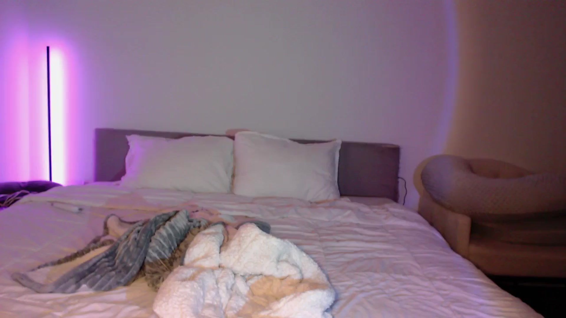 Gallery image thumbnail from babyxjulz's myfreecams stream on, 05/17/2024, 05:48 image 4 of 20