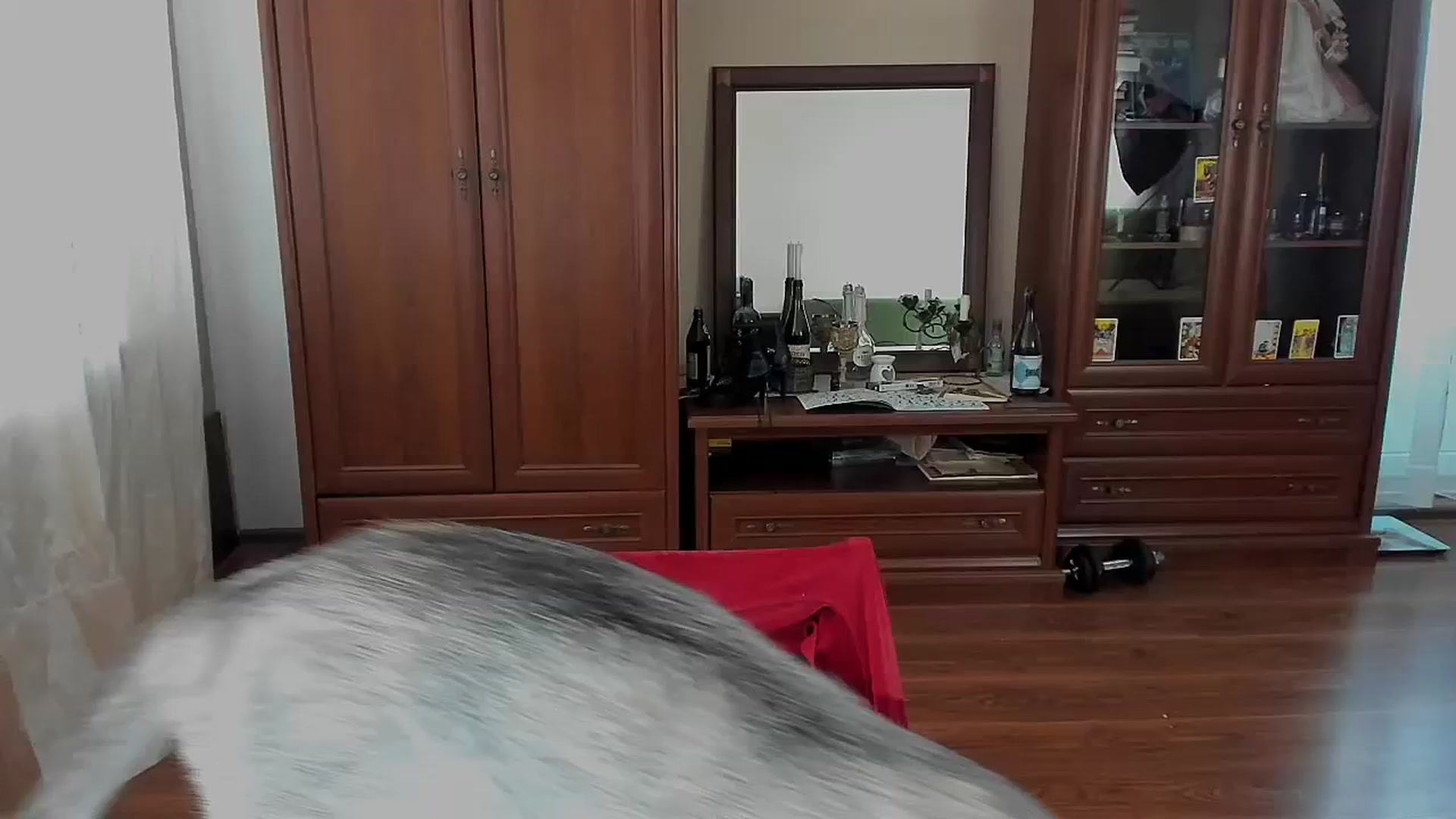 Gallery image thumbnail from bad_marg's myfreecams stream on, 07/14/2025, 09:33 image 8 of 20