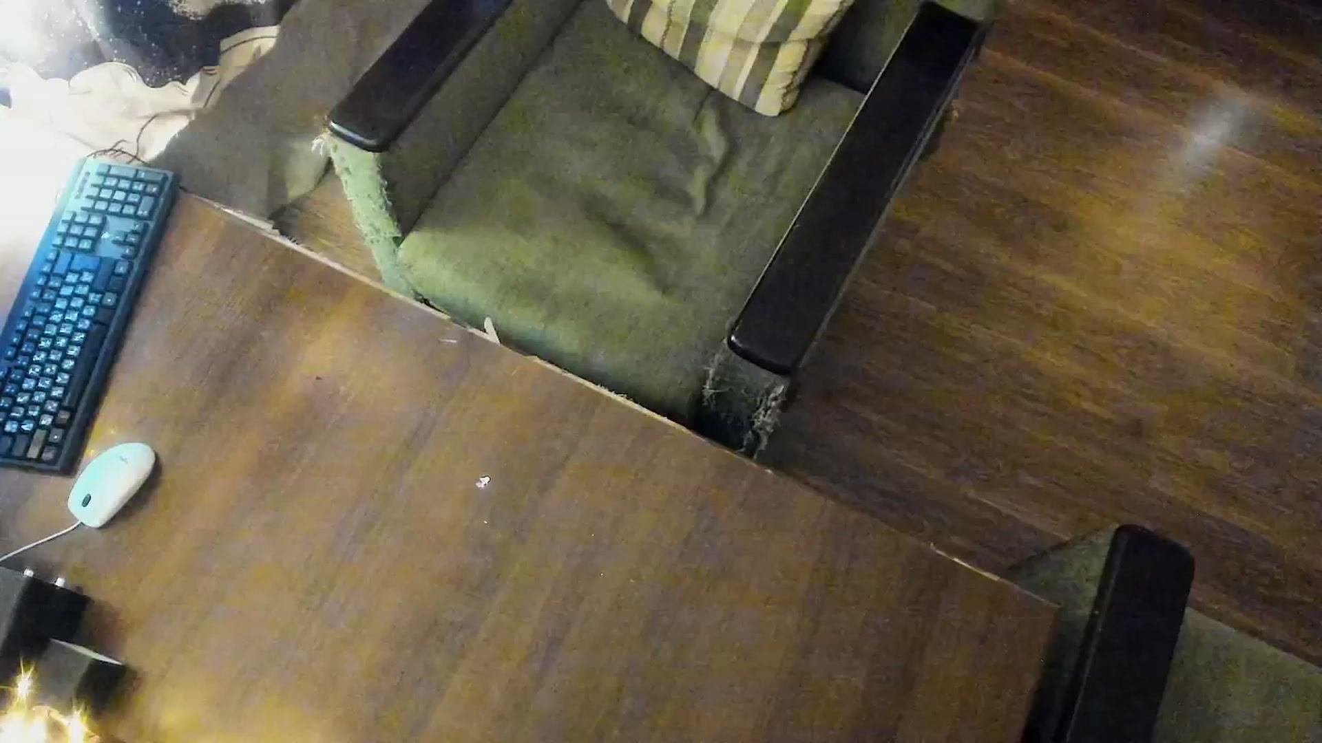 Gallery image thumbnail from bad_marg's myfreecams stream on, 05/02/2026, 18:04 image 12 of 20