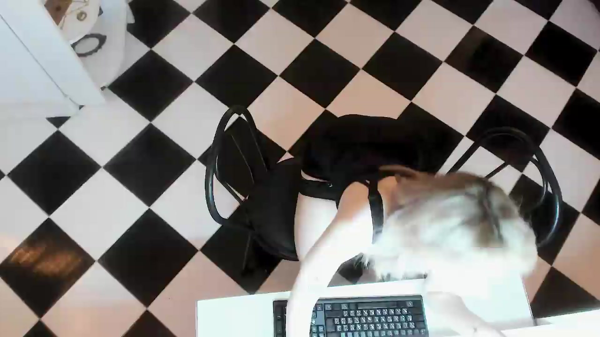 Gallery image thumbnail from bad_marg's myfreecams stream on, 08/29/2026, 15:50 image 6 of 20