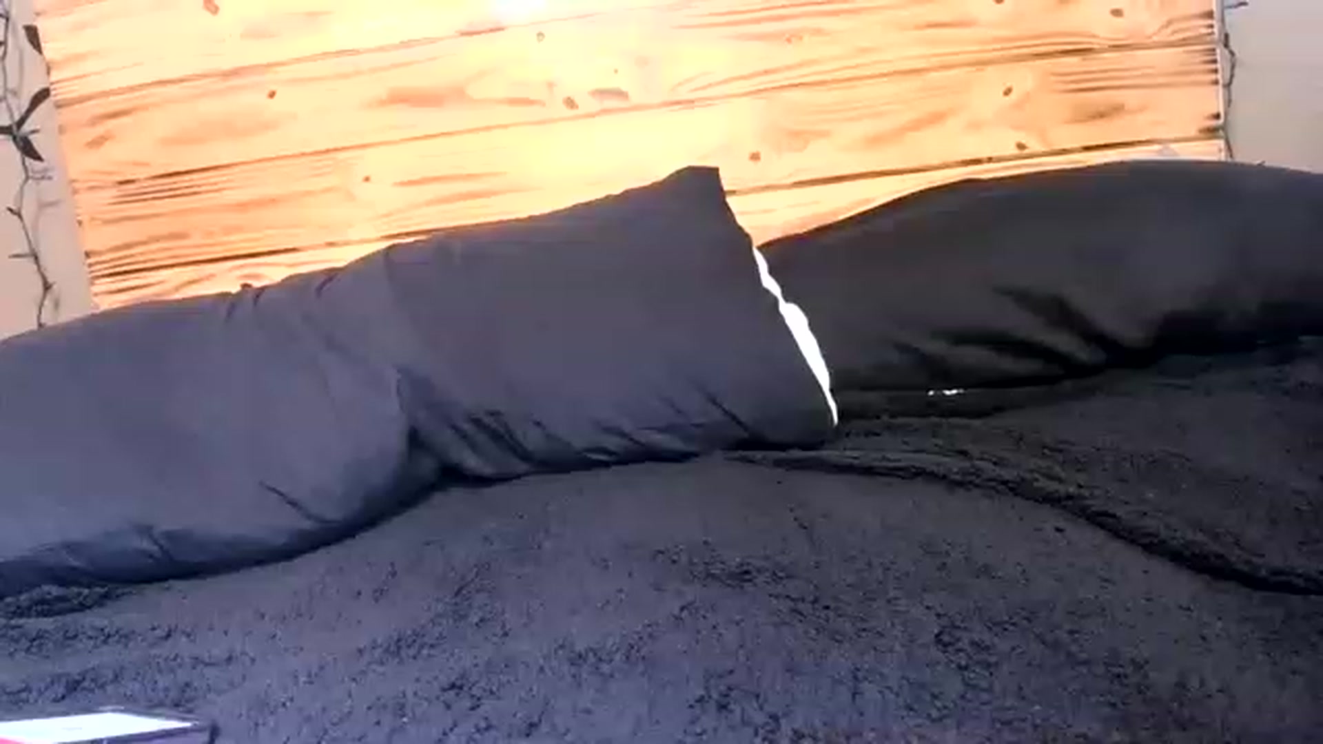 Gallery image thumbnail from badgirl_kiki's myfreecams stream on, 12/27/2022, 24:02 image 6 of 20