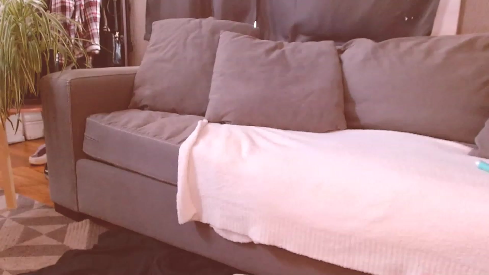 Gallery image thumbnail from basskittyxo's myfreecams stream on, 03/04/2023, 22:12 image 10 of 20