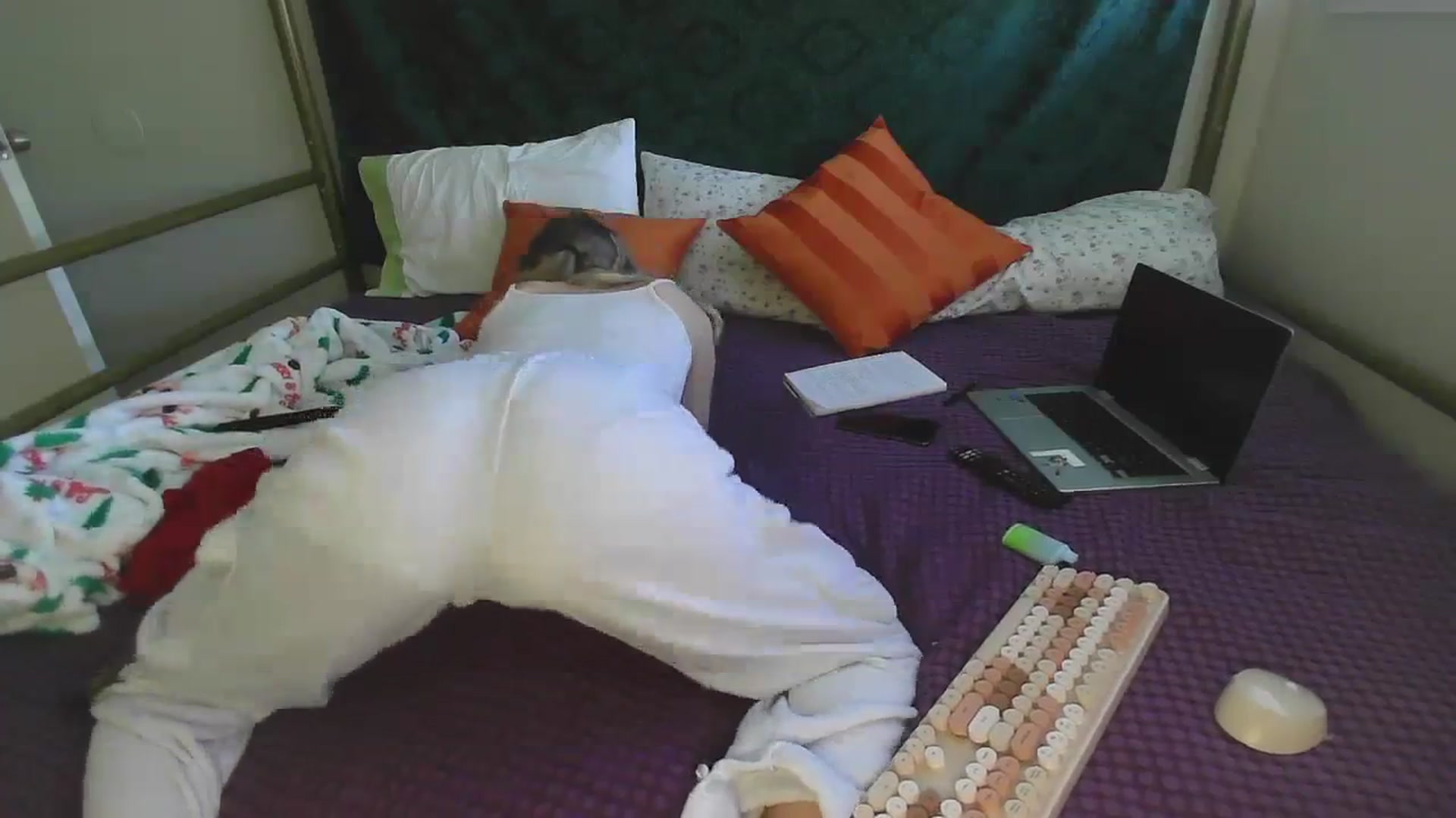 Gallery image thumbnail from bbyalice18's myfreecams stream on, 12/05/2023, 21:36 image 5 of 20