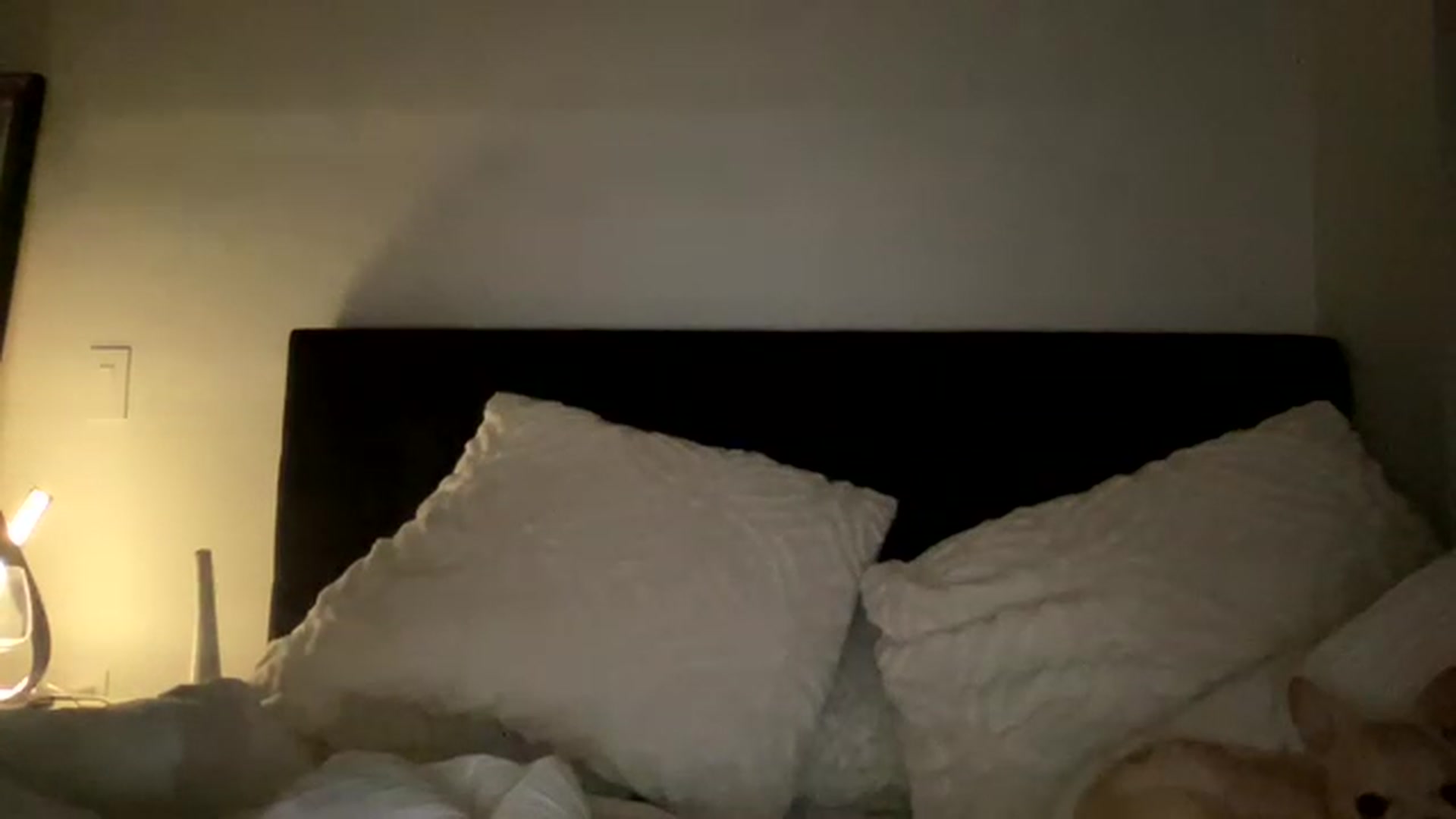 Gallery image thumbnail from bbylexixo's myfreecams stream on, 03/27/2023, 09:47 image 5 of 20