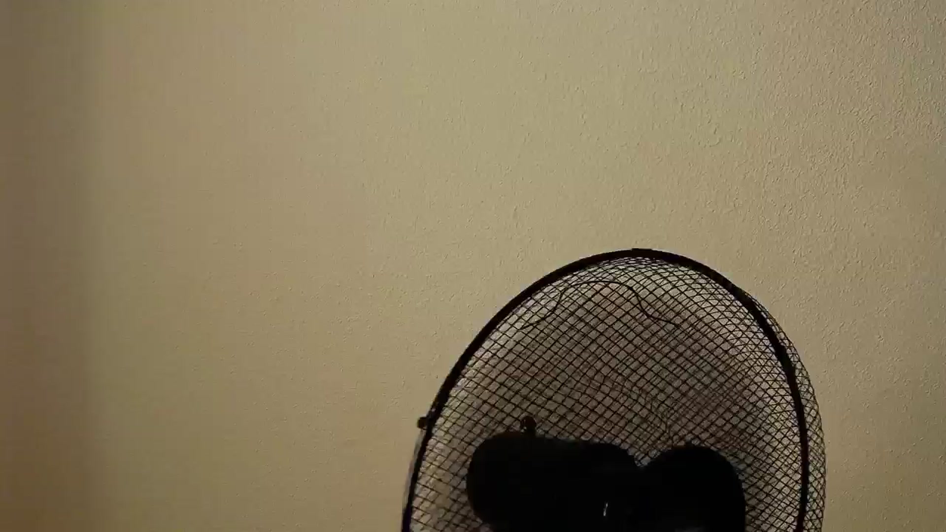 Gallery image thumbnail from bdayMaraH's myfreecams stream on, 08/17/2024, 19:38 image 12 of 20