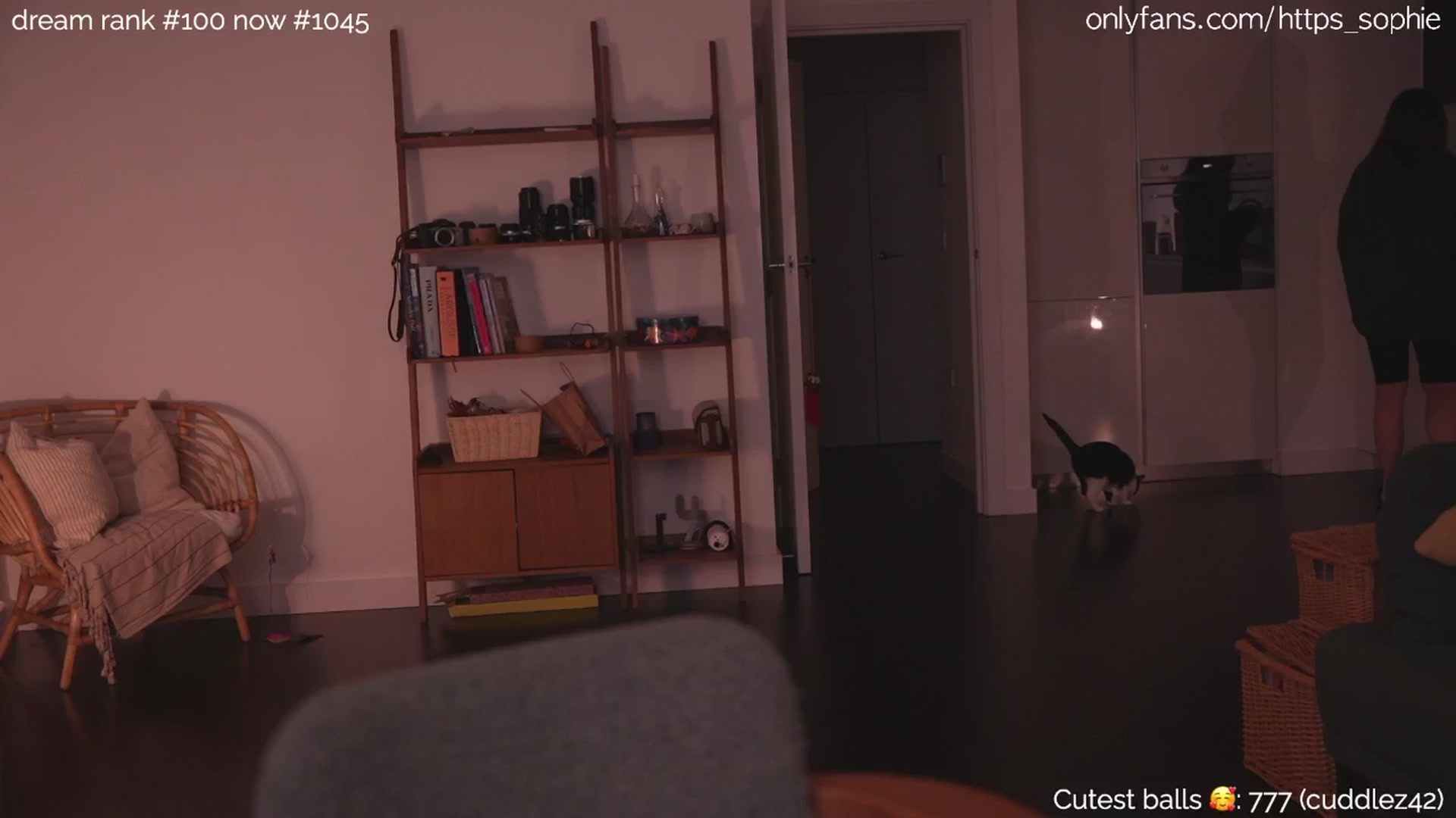 Gallery image thumbnail from bday_sophie's myfreecams stream on, 05/09/2024, 24:03 image 16 of 20
