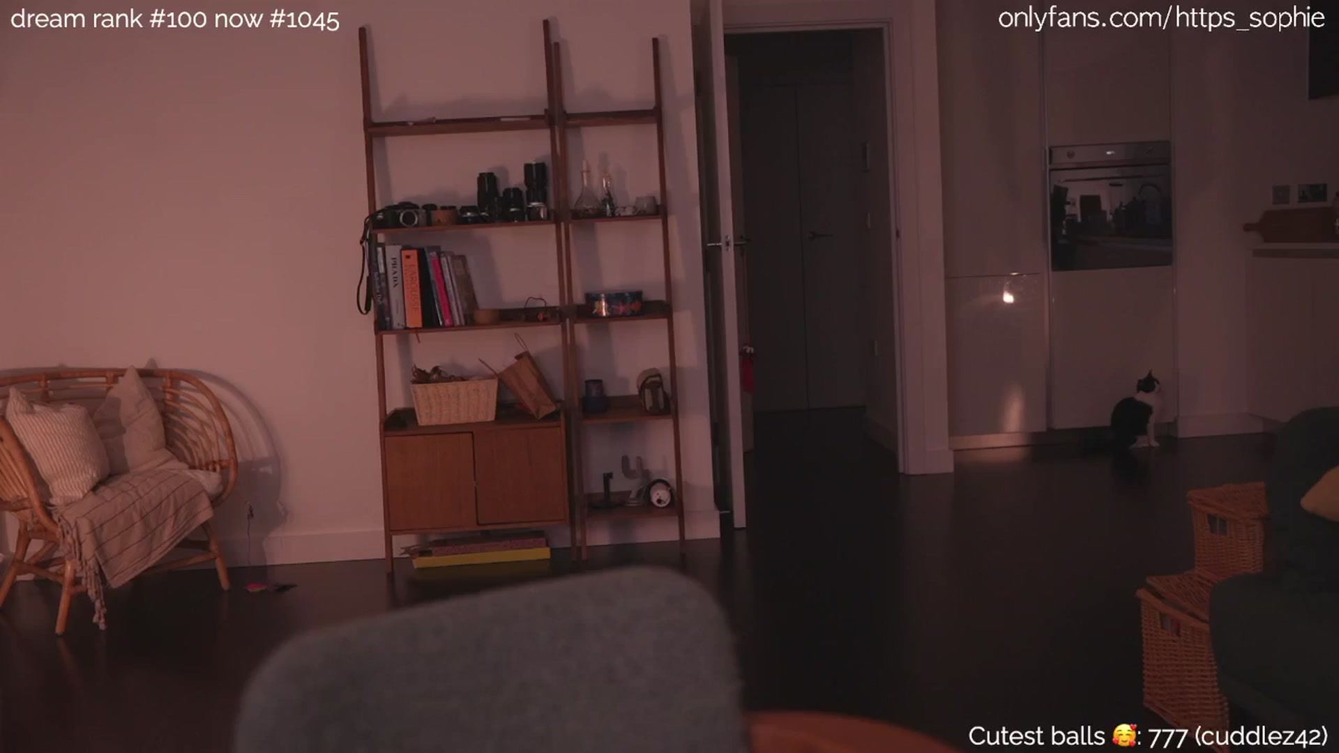 Gallery image thumbnail from bday_sophie's myfreecams stream on, 05/09/2024, 02:31 image 14 of 20
