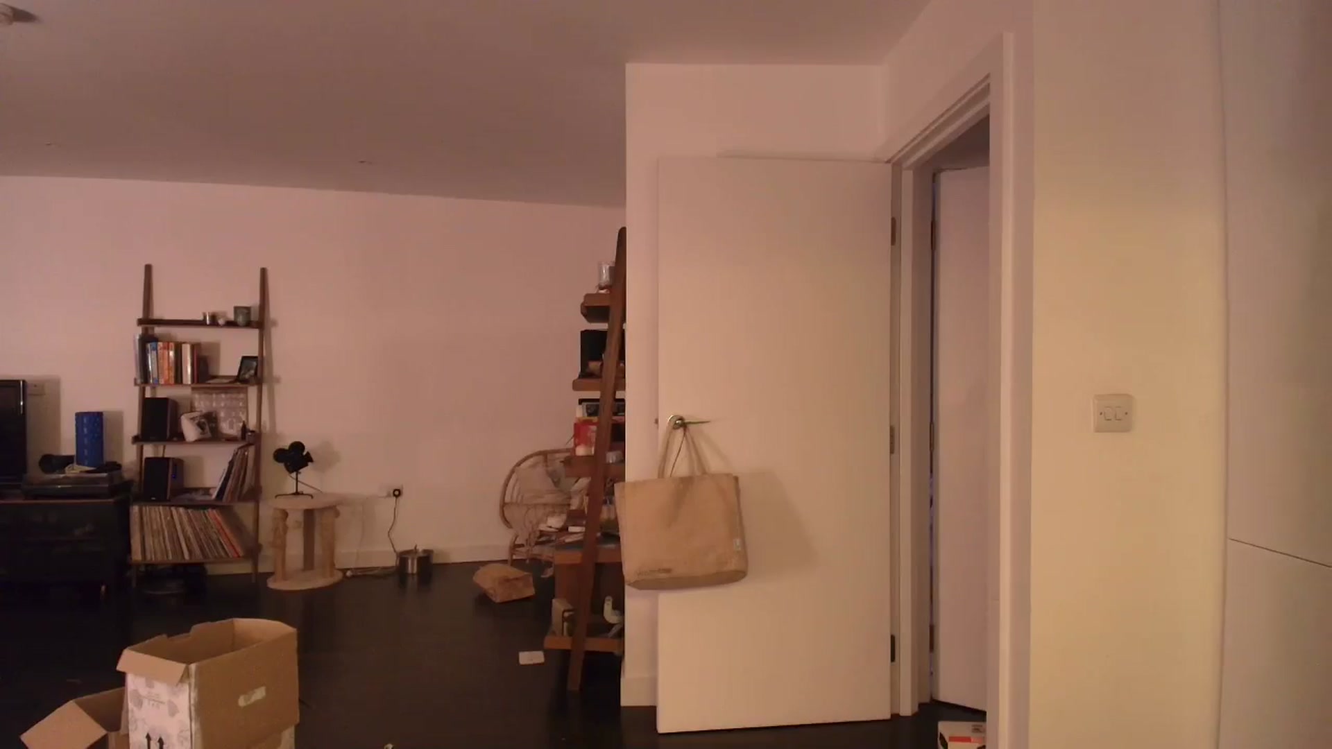 Gallery image thumbnail from bday_sophie's myfreecams stream on, 05/13/2025, 01:52 image 11 of 20