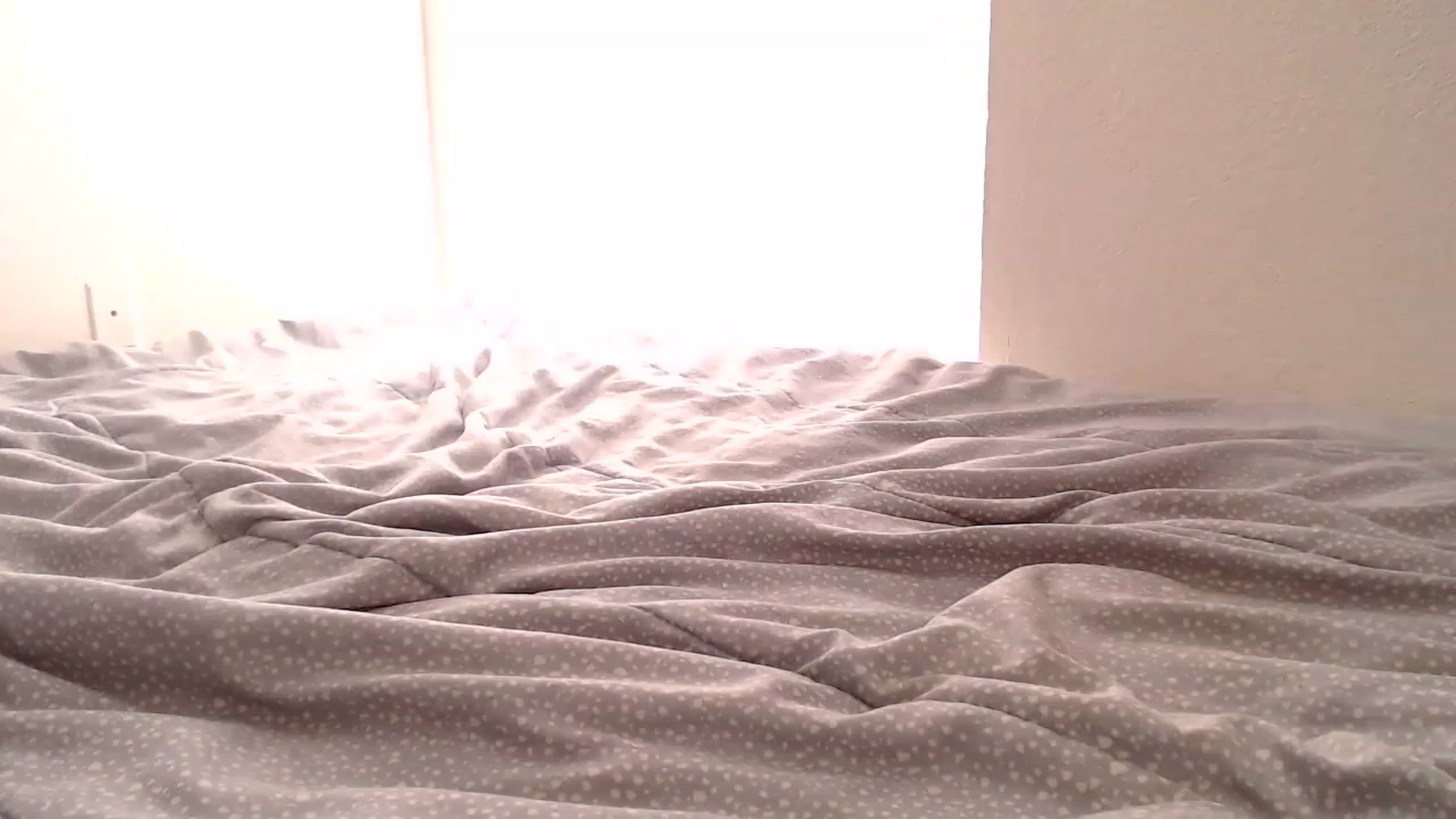 Gallery image thumbnail from bebered96's myfreecams stream on, 12/27/2022, 20:08 image 18 of 20