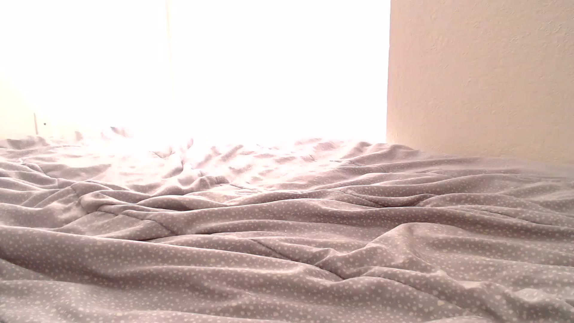 Gallery image thumbnail from bebered96's myfreecams stream on, 12/27/2022, 20:08 image 19 of 20