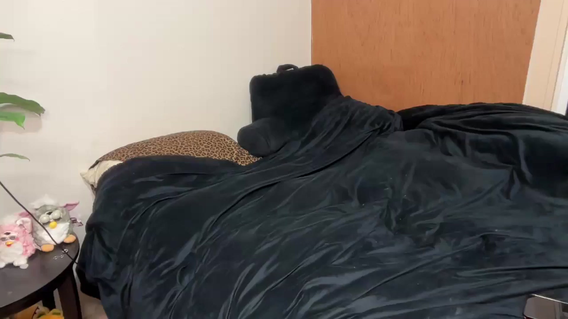 Gallery image thumbnail from bec69's myfreecams stream on, 12/25/2025, 01:24 image 9 of 20